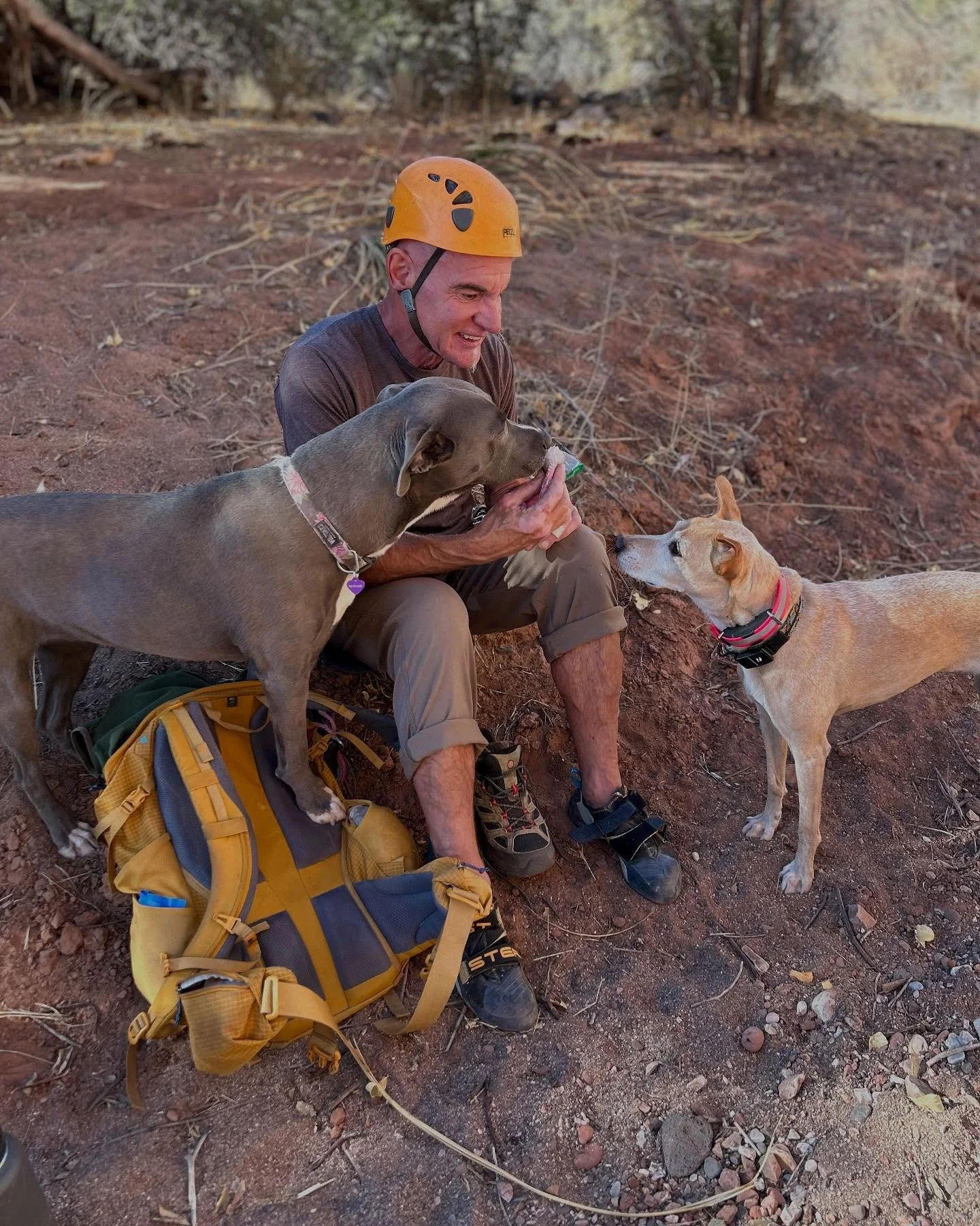 SNACKS! 🥪🥜The ONLY reason we hike and climb&hellip;am I right?? HONEST talk: please never feed someone&rsquo;s dog without asking when you are at the crag or campsite🏕️ Many dogs, like their humans, have dietary restrictions. Not to mention toxic 