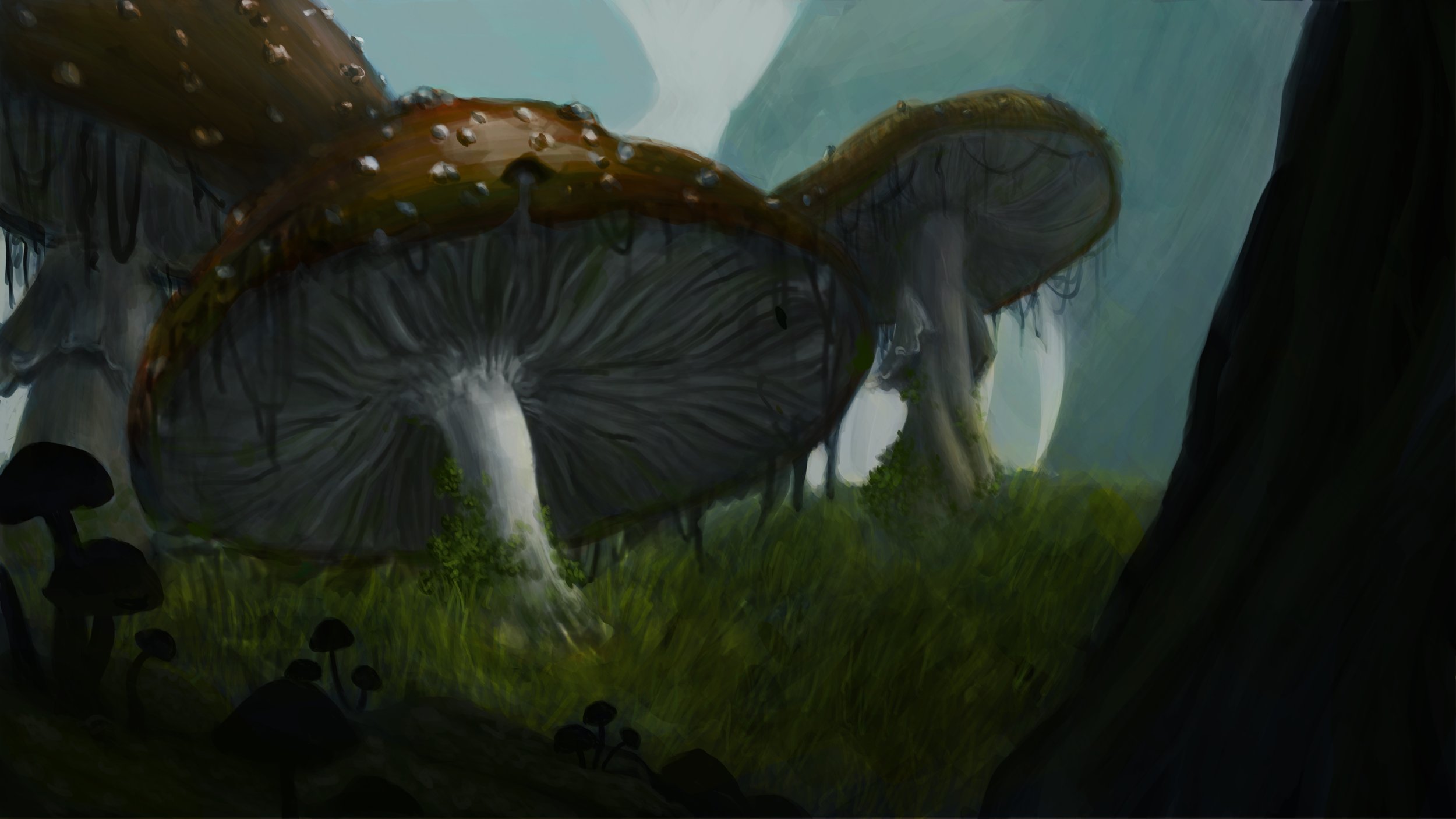 Mushroom_Color.jpg