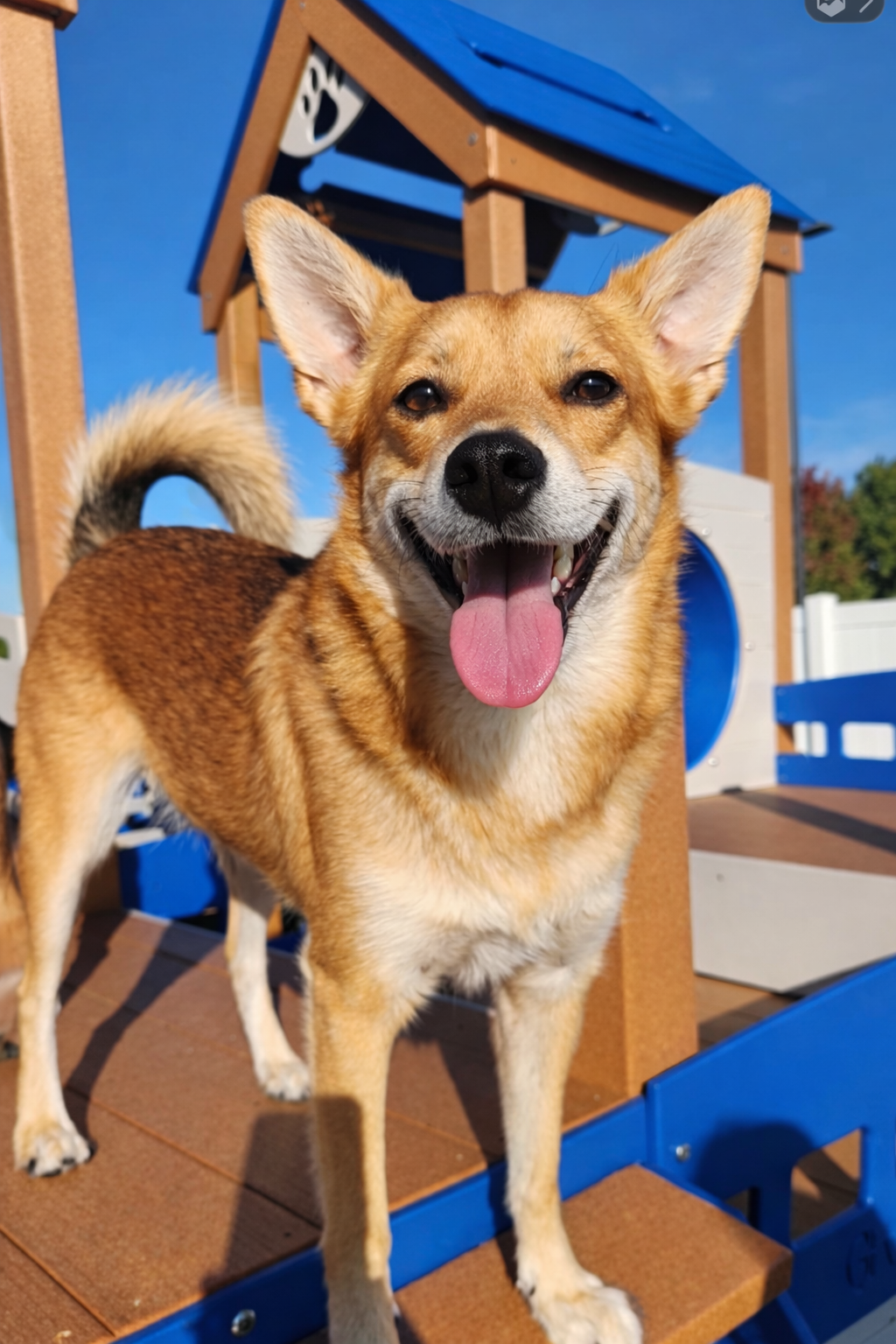 Close-up view of lush, green artificial grass or turf.