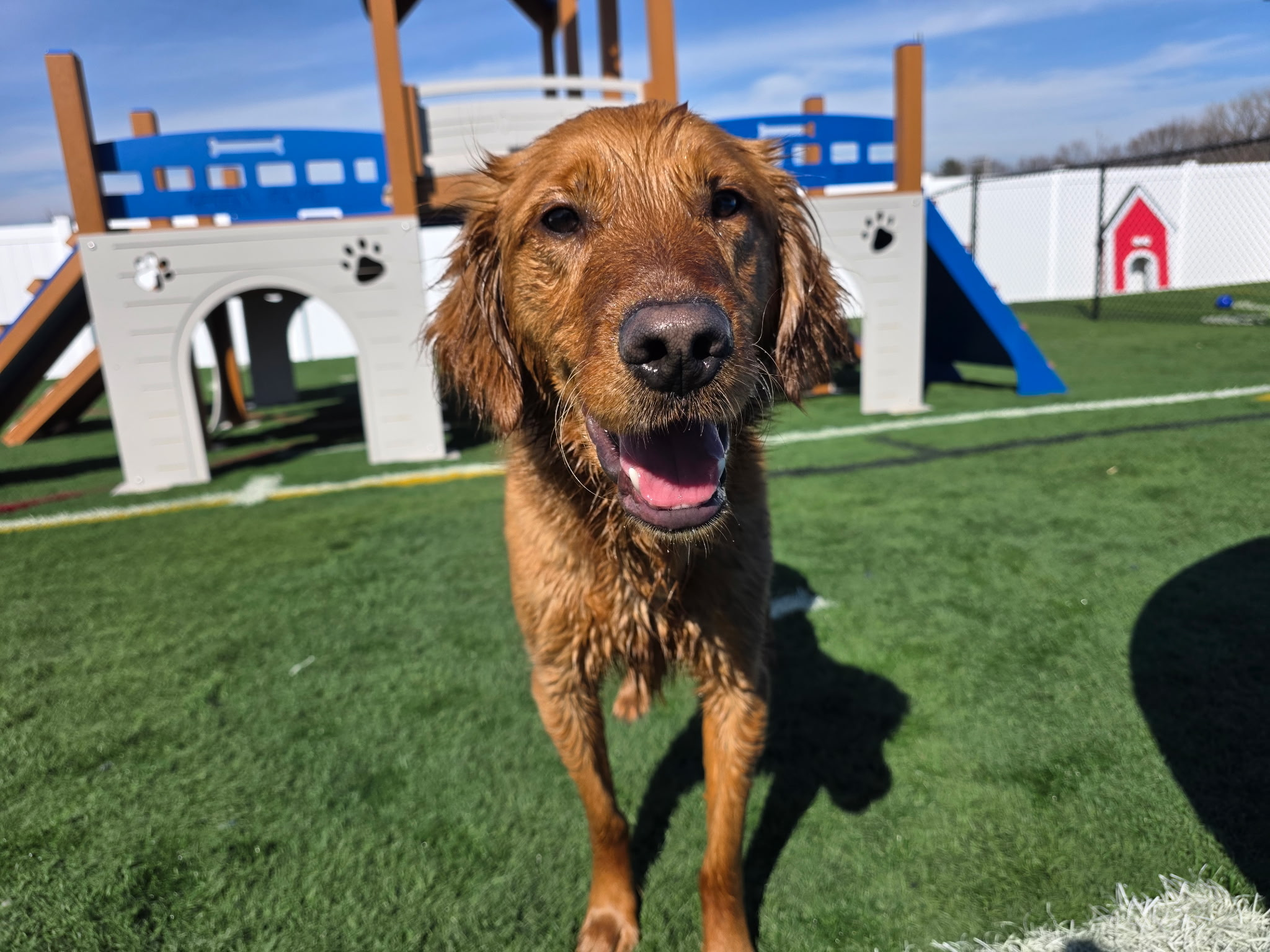 Wooden playground structure with multiple levels, slides, and climbing elements on a grassy surface.