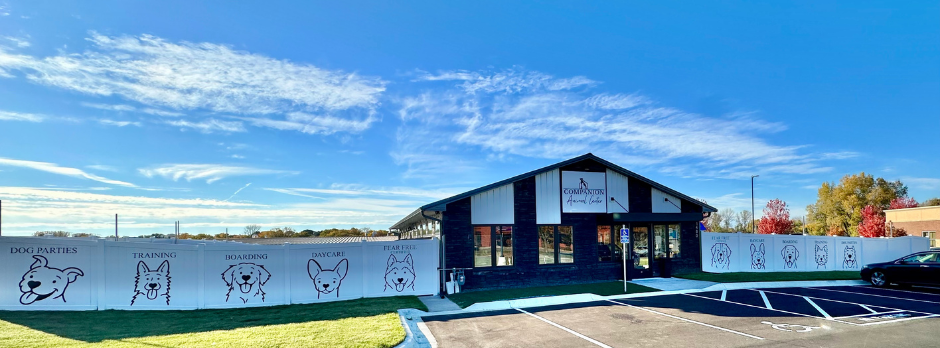 Close-up of a happy, smiling yellow Labrador retriever dog sitting outdoors on dirt and grass.