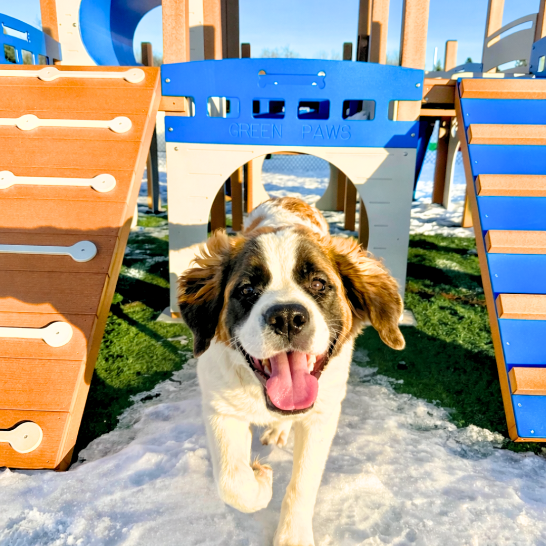 Wooden playground structure with multiple levels, slides, and climbing elements on a grassy surface.
