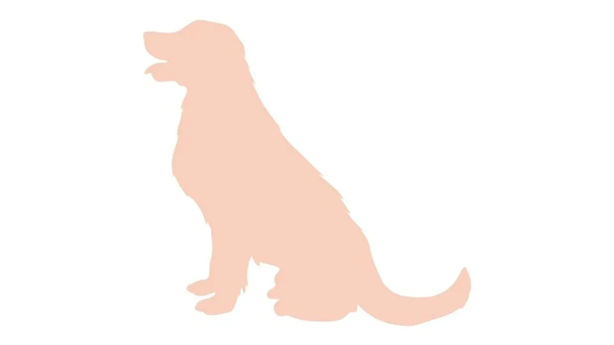 Silhouette of a sitting dog with a long tail, drawn in a minimalist pinkish-peach color on a white background.