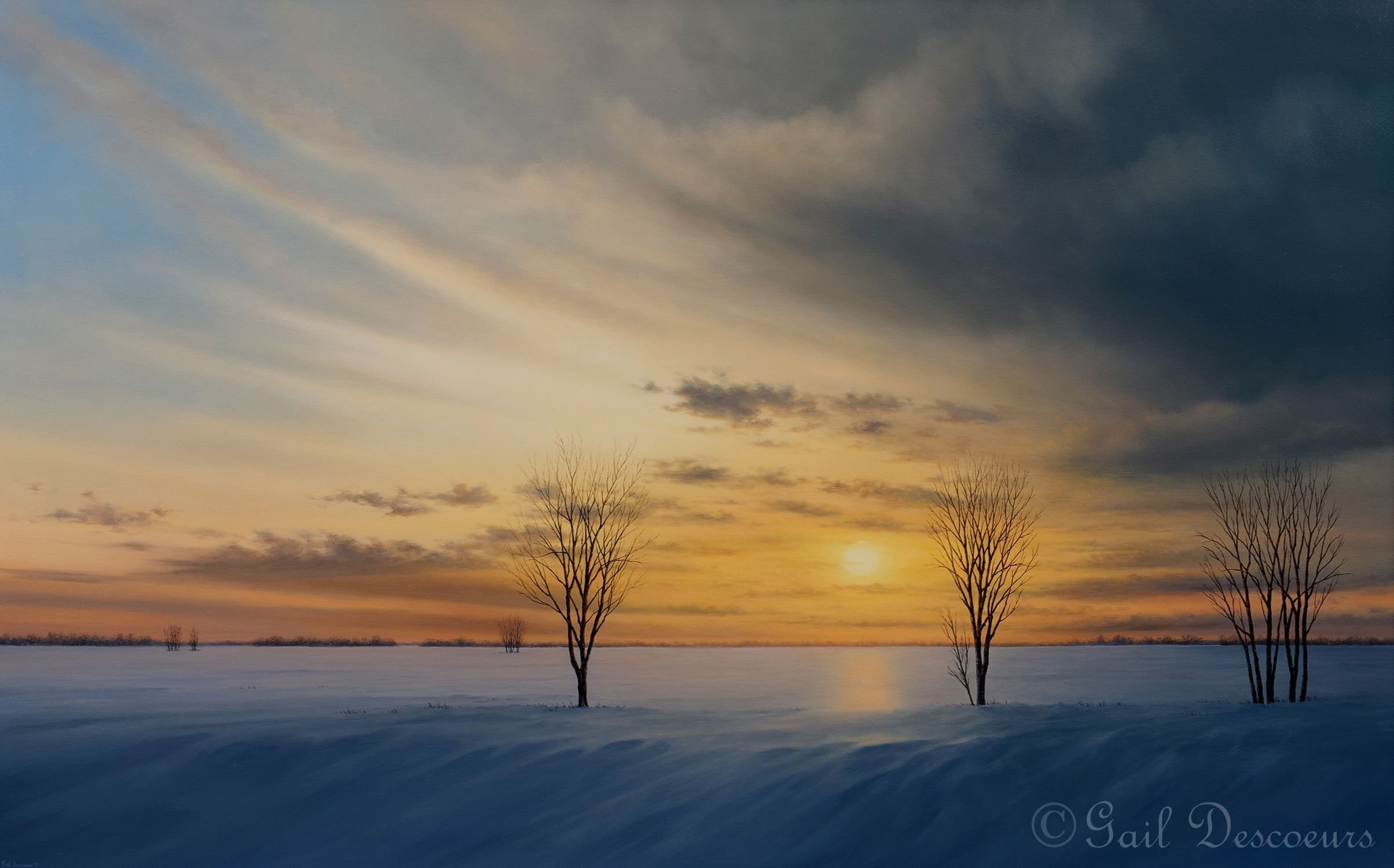 Winter's Whispering Winds 
Oil on canva 
30 x48