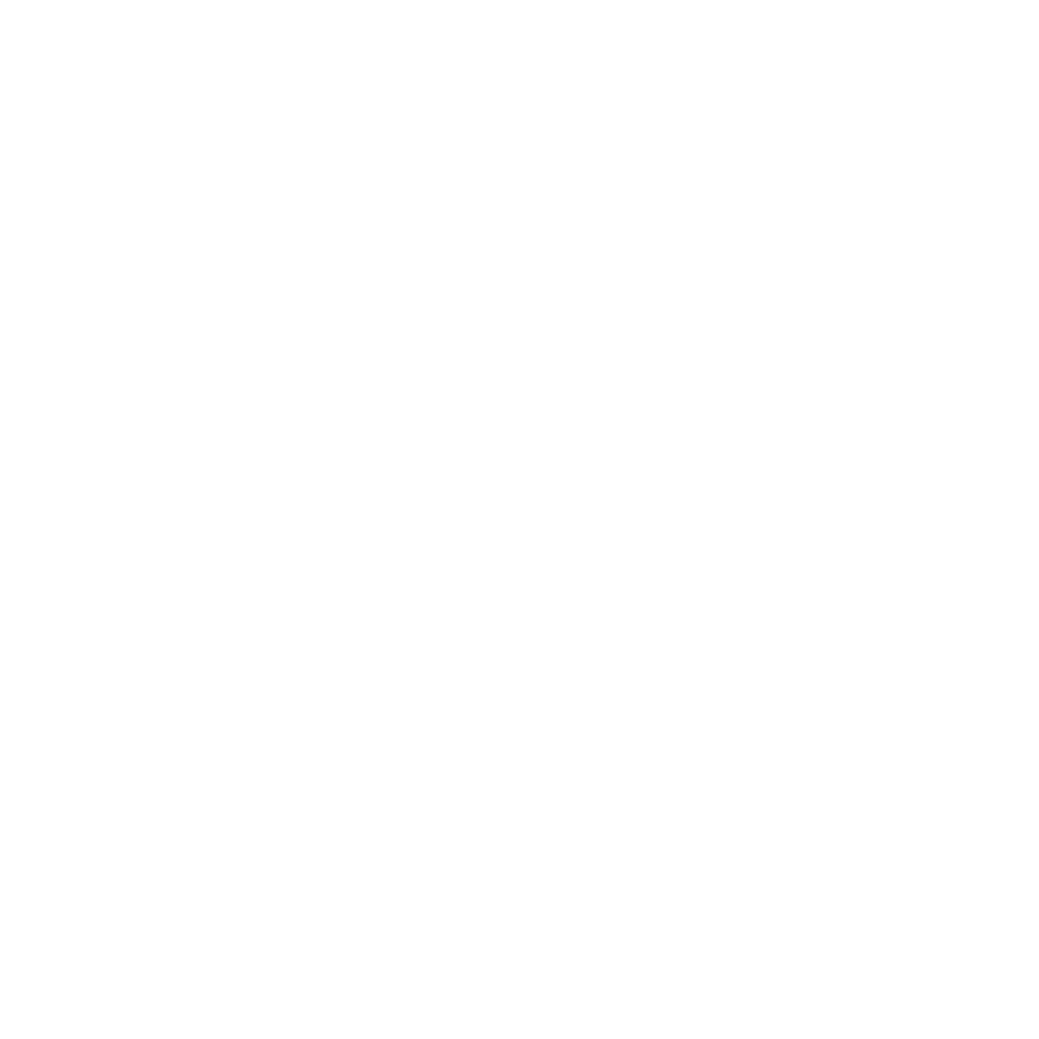 HEELYS