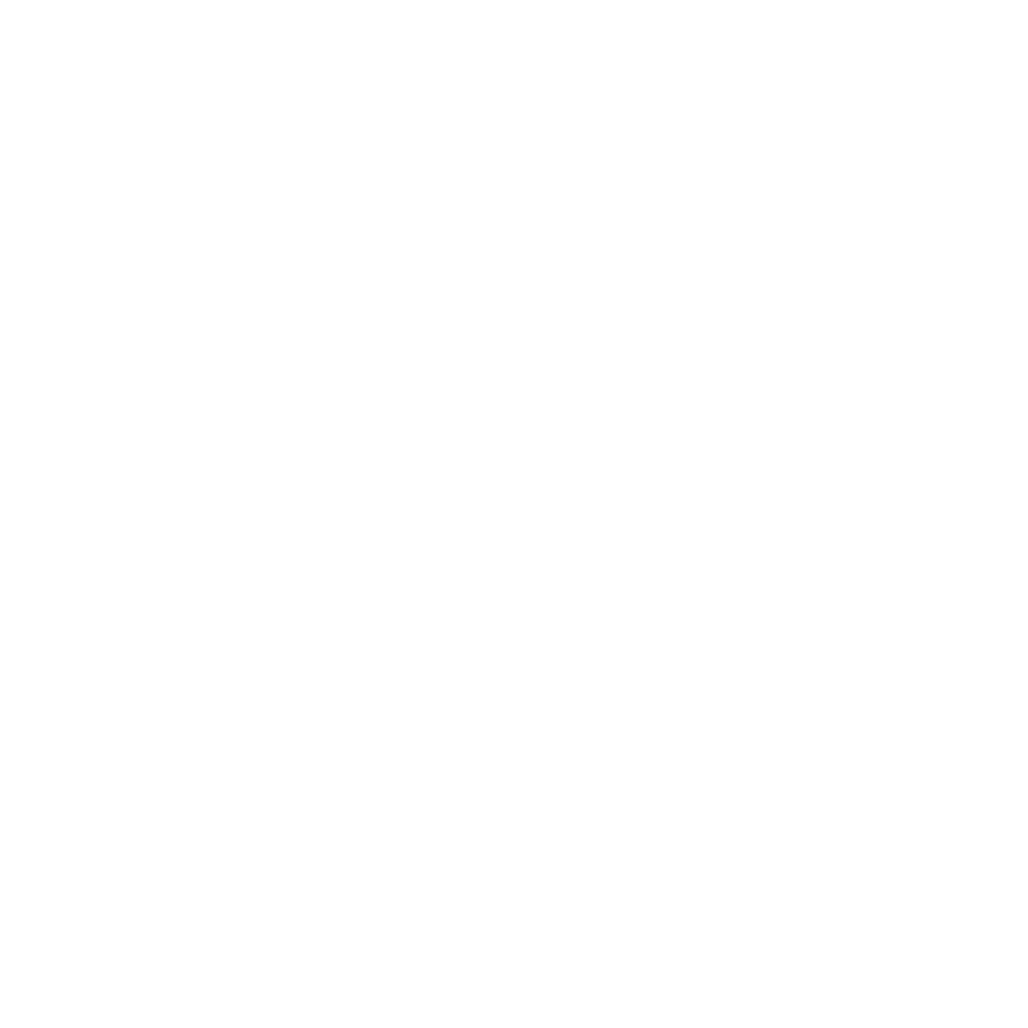 DESPERATE OYSTER IPA