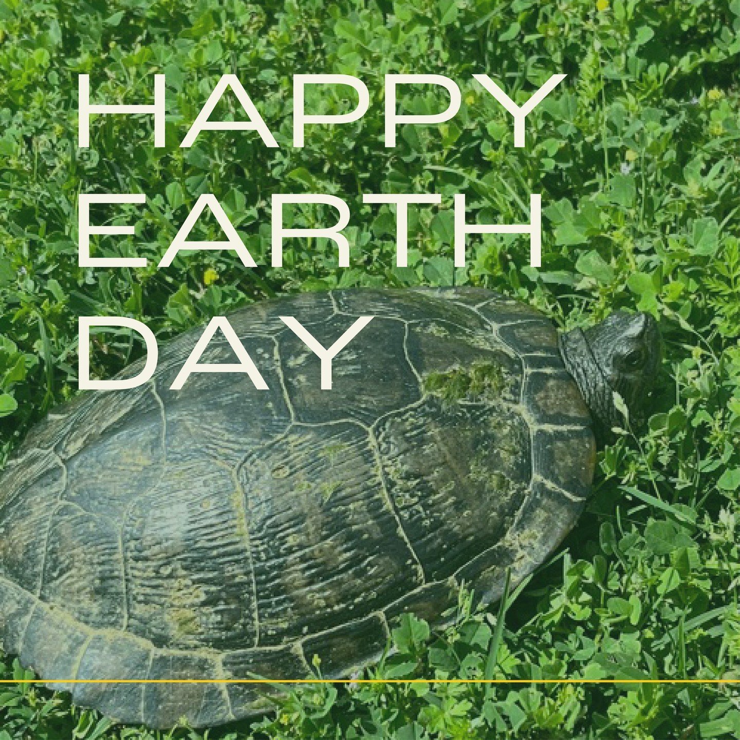 As we look forward past this Earth Day, let us continue recommit ourselves to environmental conservation. Whether it's reducing our carbon footprint, joining the movement by advocating for environmental policies, or simply appreciating the beauty of 
