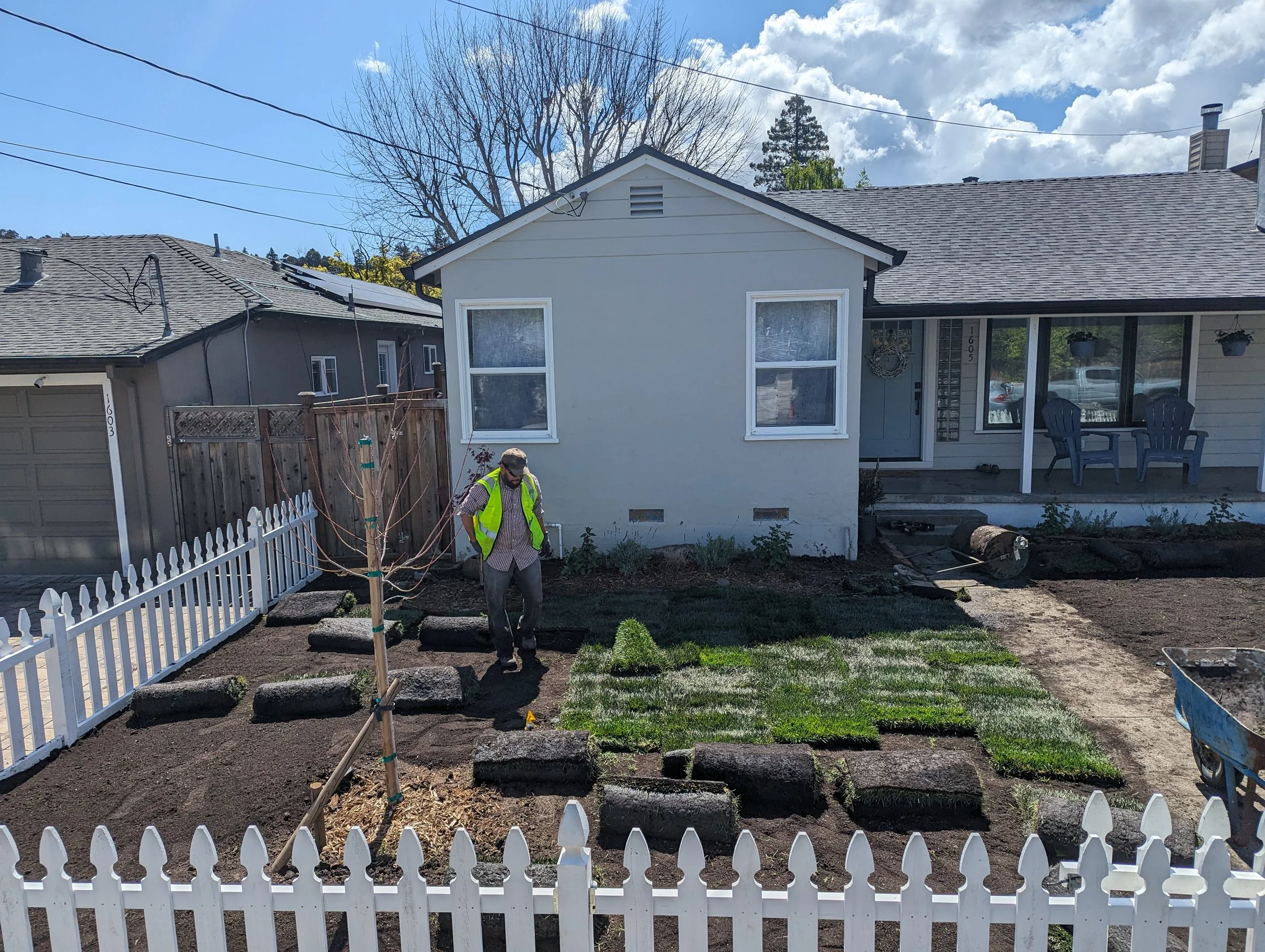 2nd sod instillation.jpg