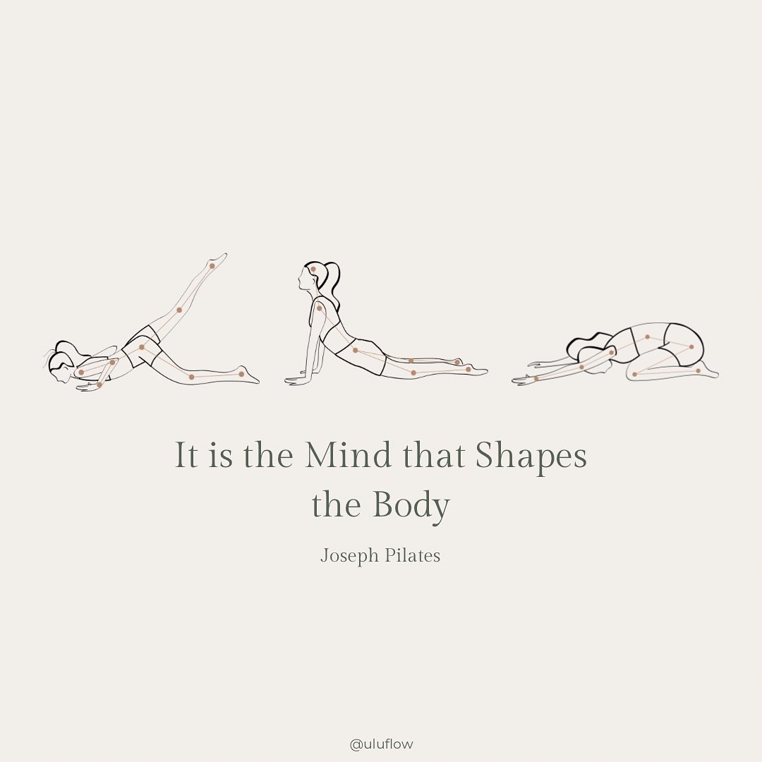 Pilates isn&rsquo;t just exercise, it&rsquo;s a journey that shapes both body and mind. At Ulu, we embody this philosophy in every class, focusing on mindful movement that strengthens, aligns, and empowers you from the inside out. 💪

New to our stud