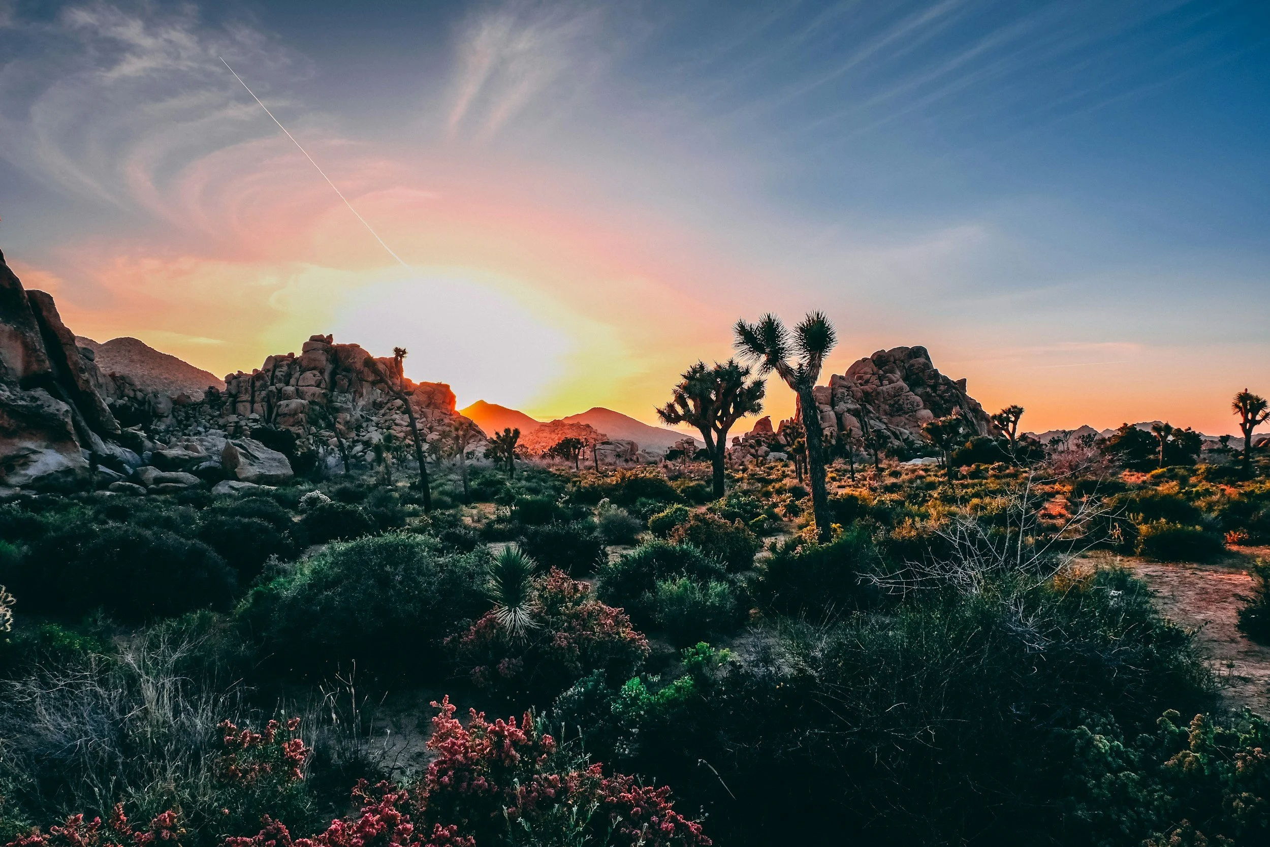 Best Hot Springs To Relax At After A Hike At Joshua Tree National Park