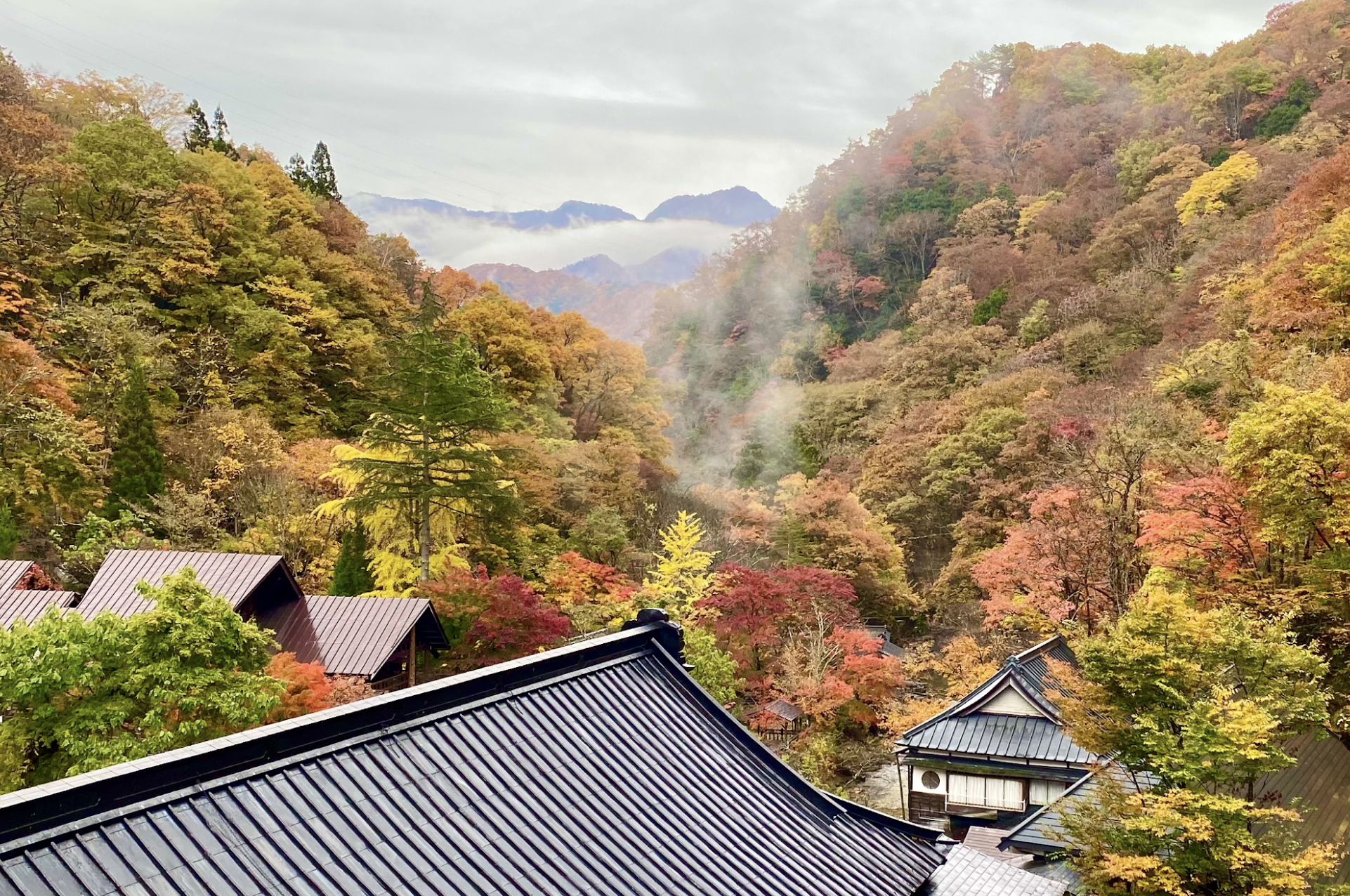 Best Hot Springs and Spas for Fall Foliage
