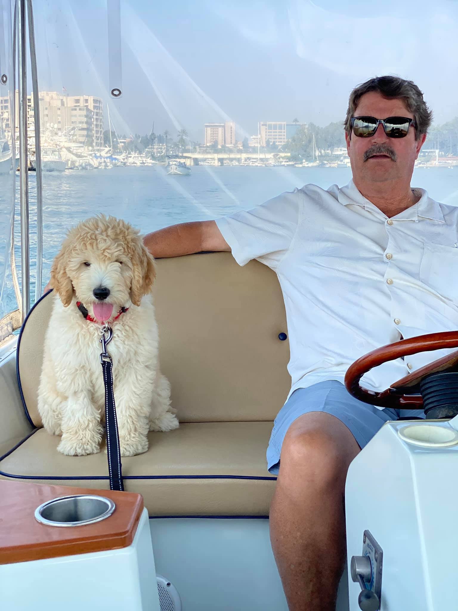 boat labradoodle.jpeg