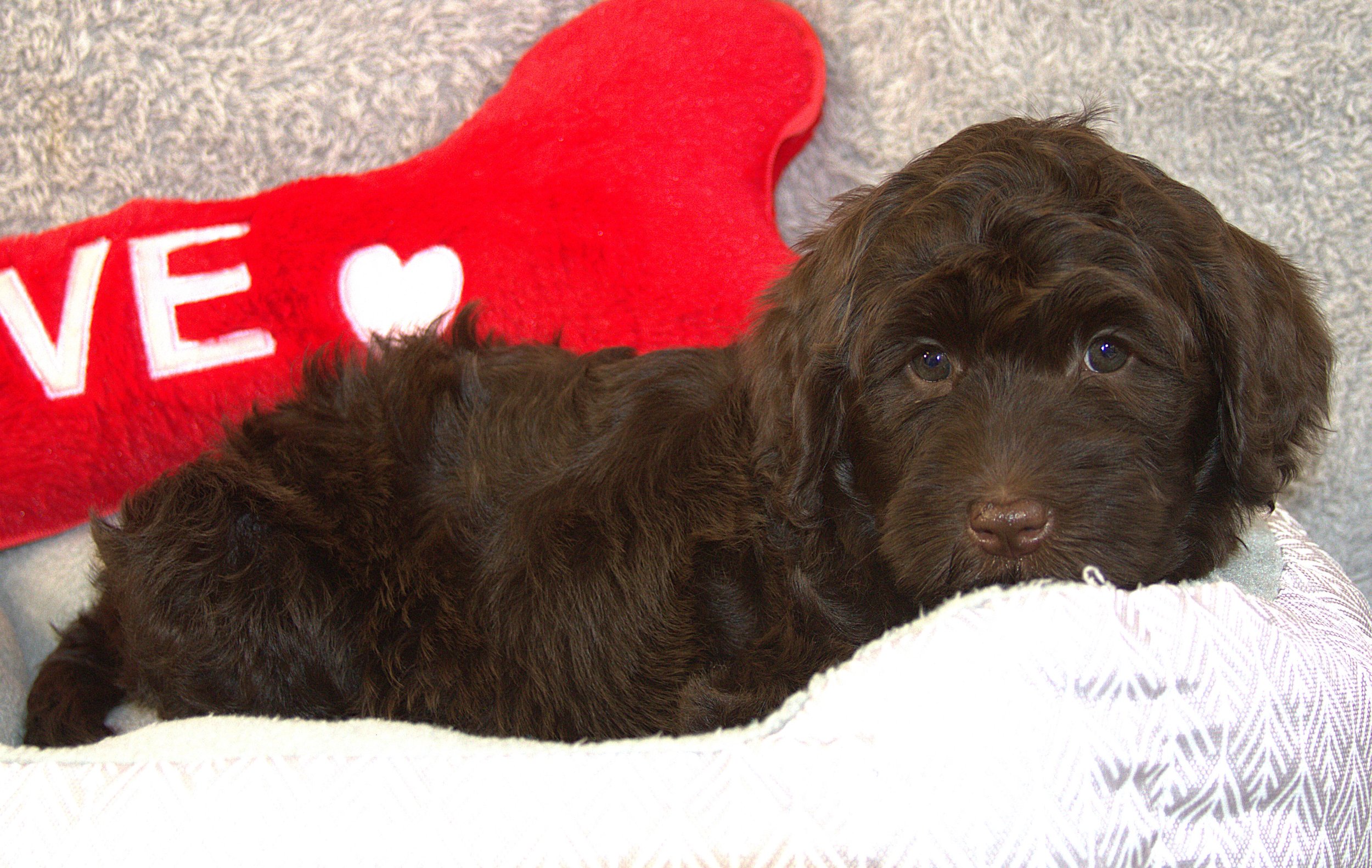 IMG_9663 zooey lay 2.jpg