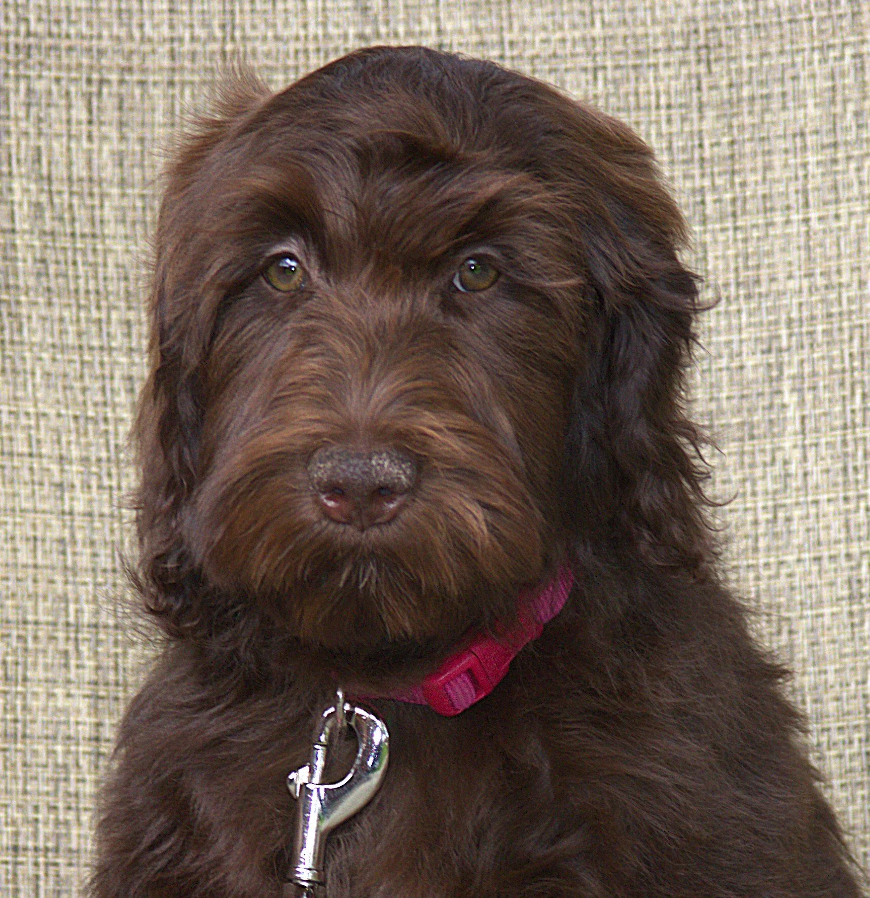 IMG_0161 - Copy Demi Moore 7 H S.jpg