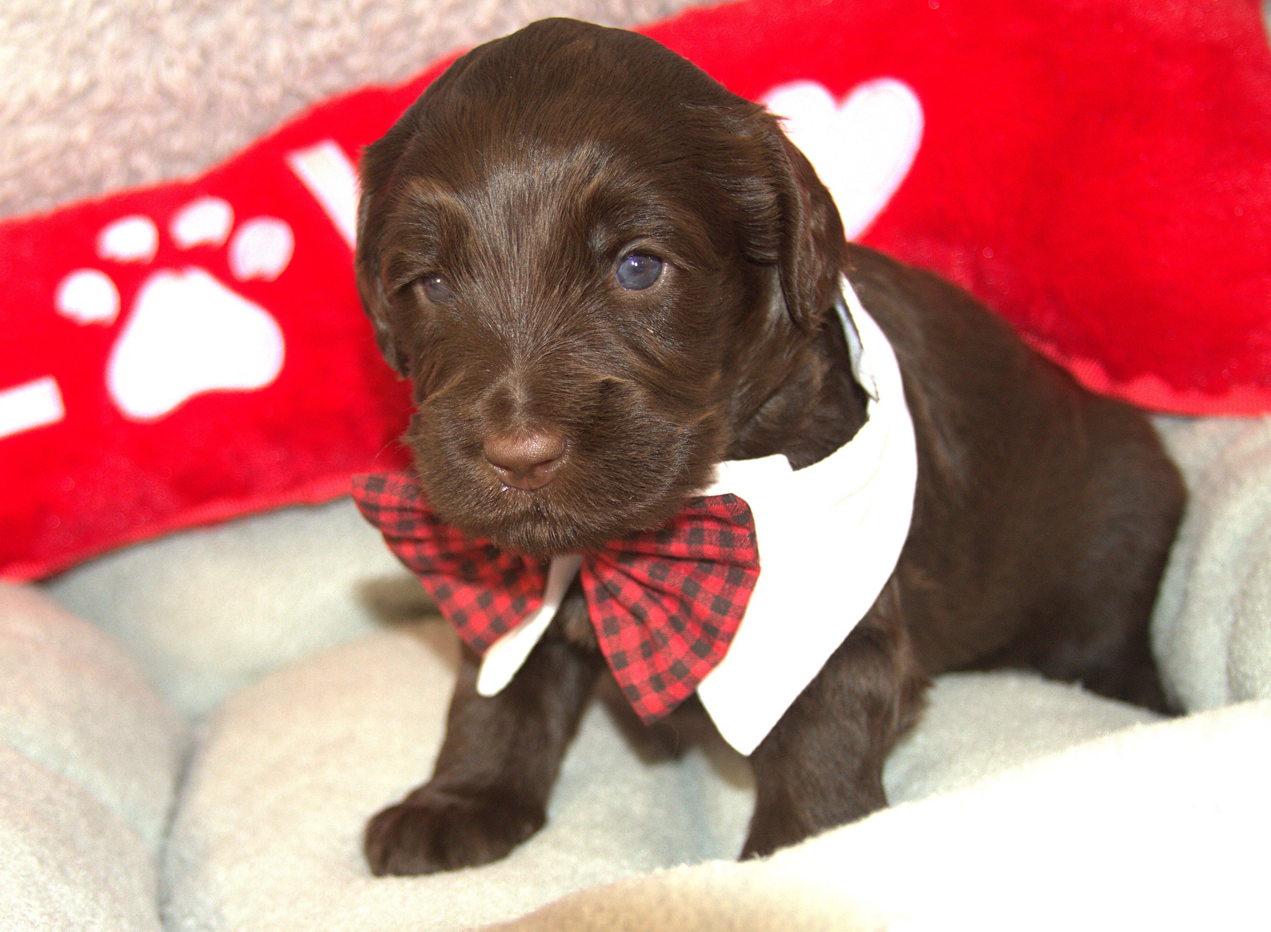 IMG_9430 - Copy Arrow 4.jpg