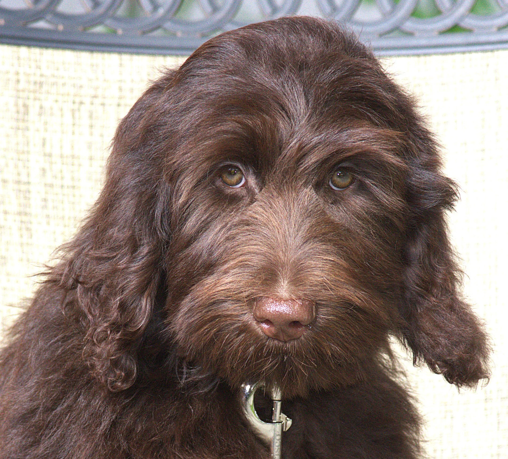 IMG_0146 - Copy Arrow HS 2.jpg