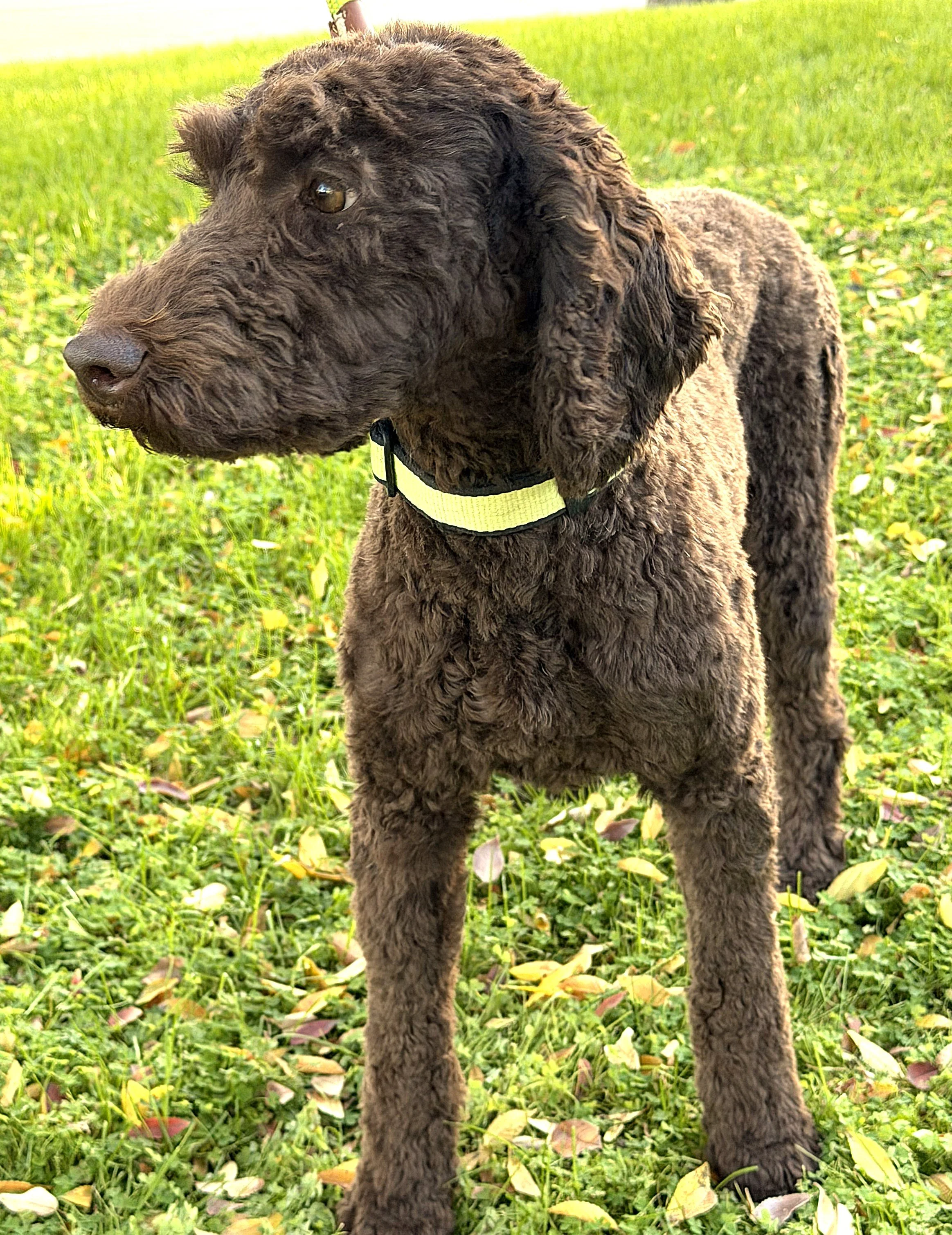 IMG_0785 Faith stand 1A.jpg