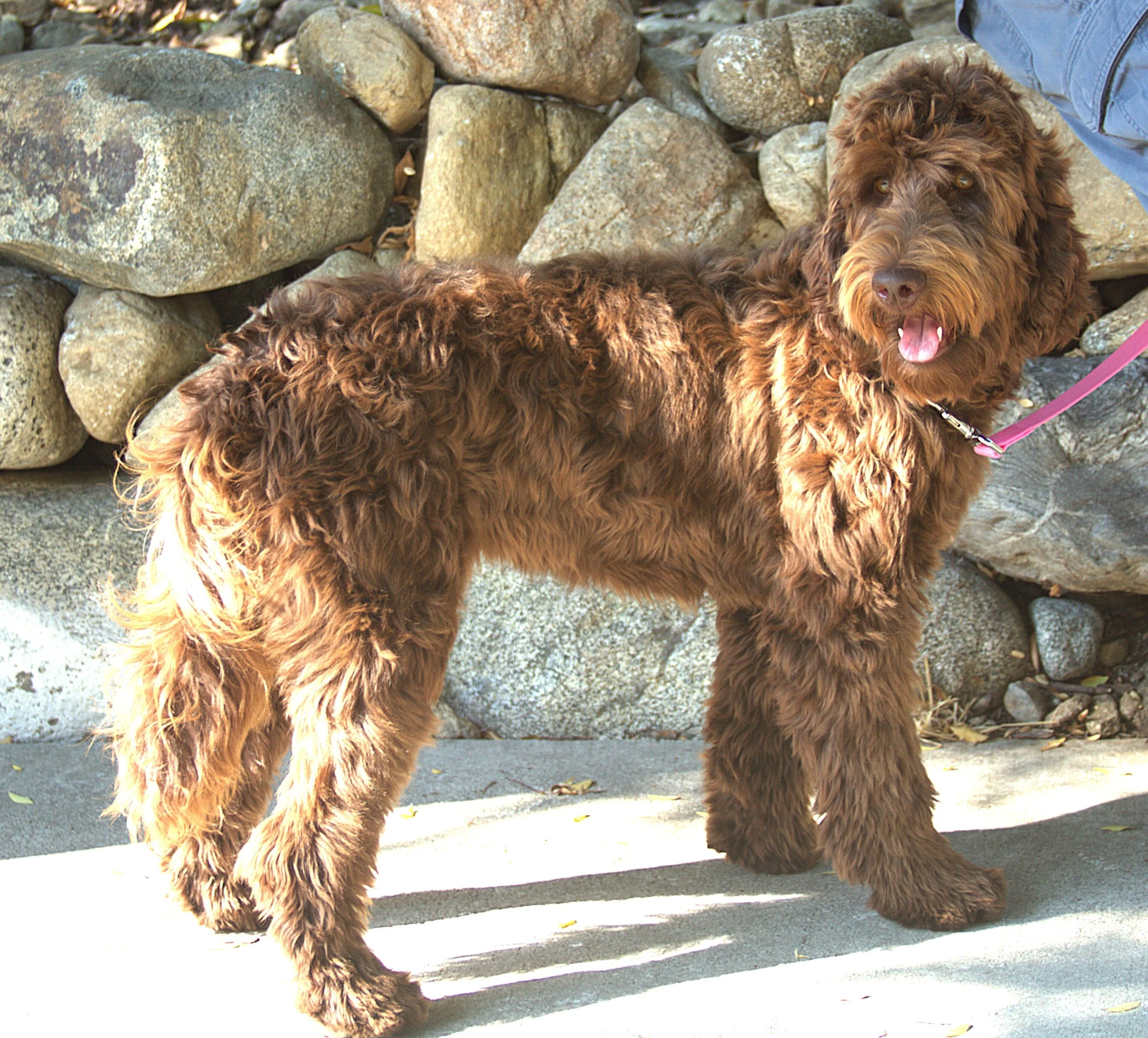 IMG_9046 Athena stand3.jpg