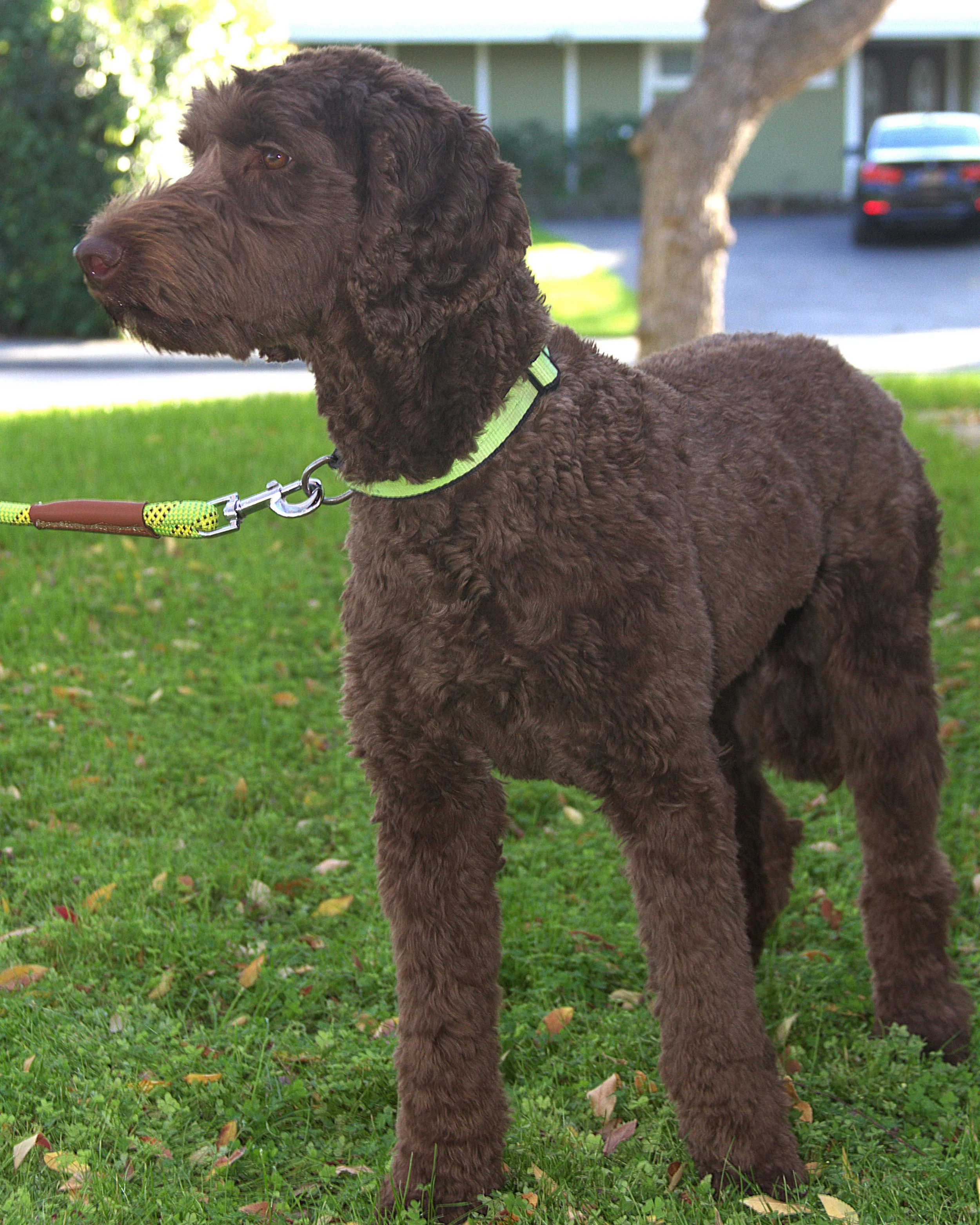 IMG_9892 Mickey Stand OD 1.jpg