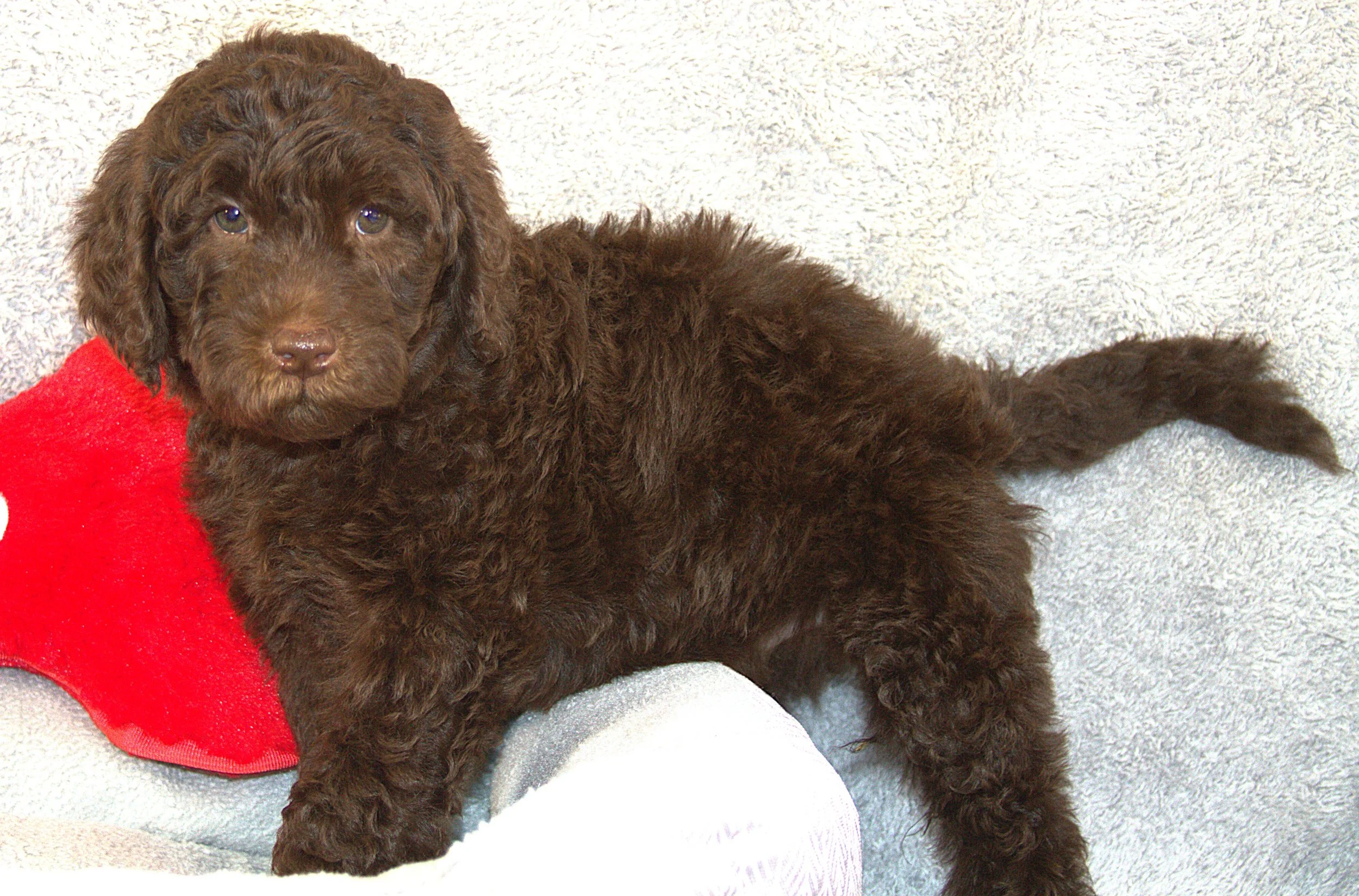 IMG_9682  Harty stand 4.jpg