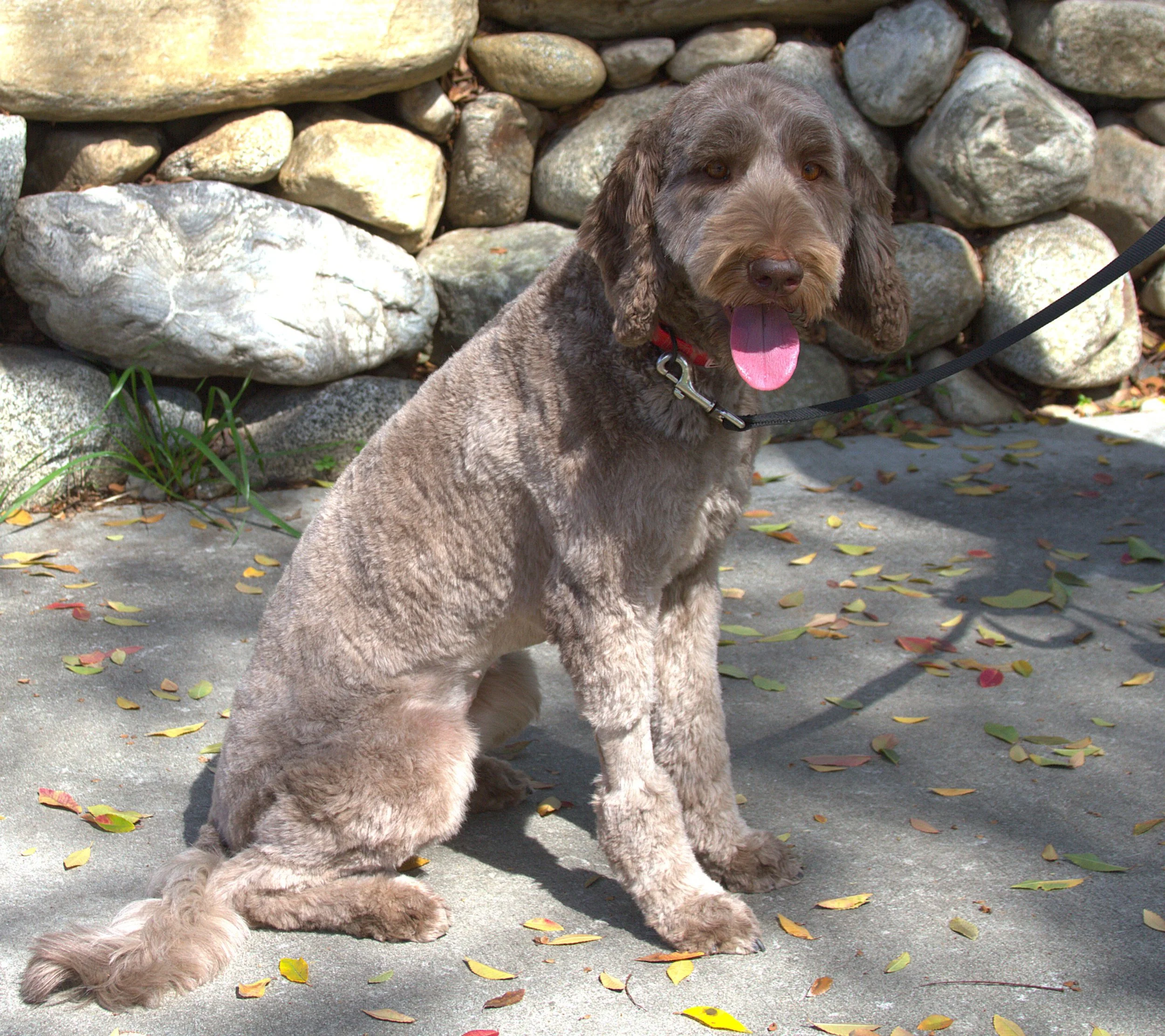 IMG_9975  Emma sit 5 - Copy.jpg