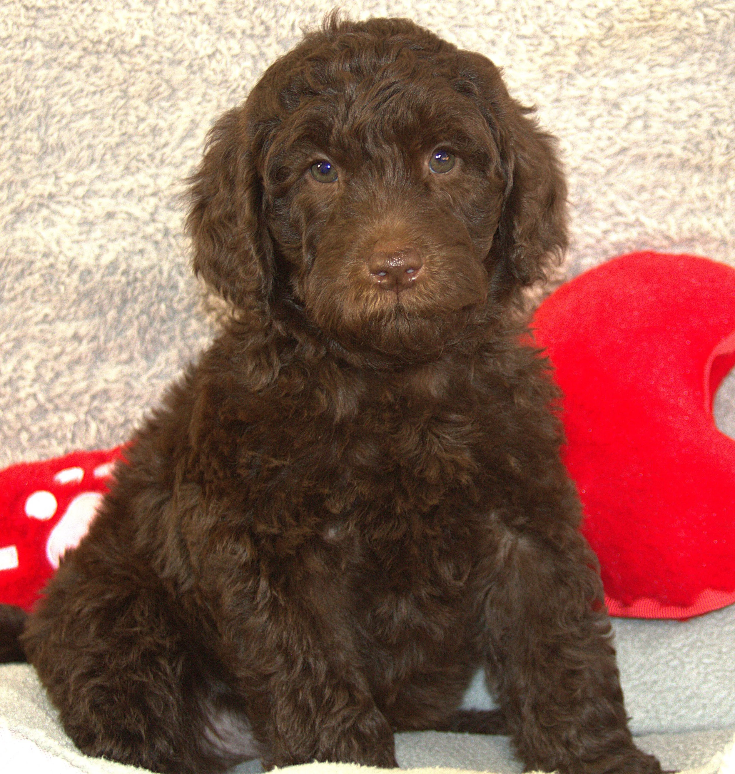 IMG_9669 Harty sit 1.jpg