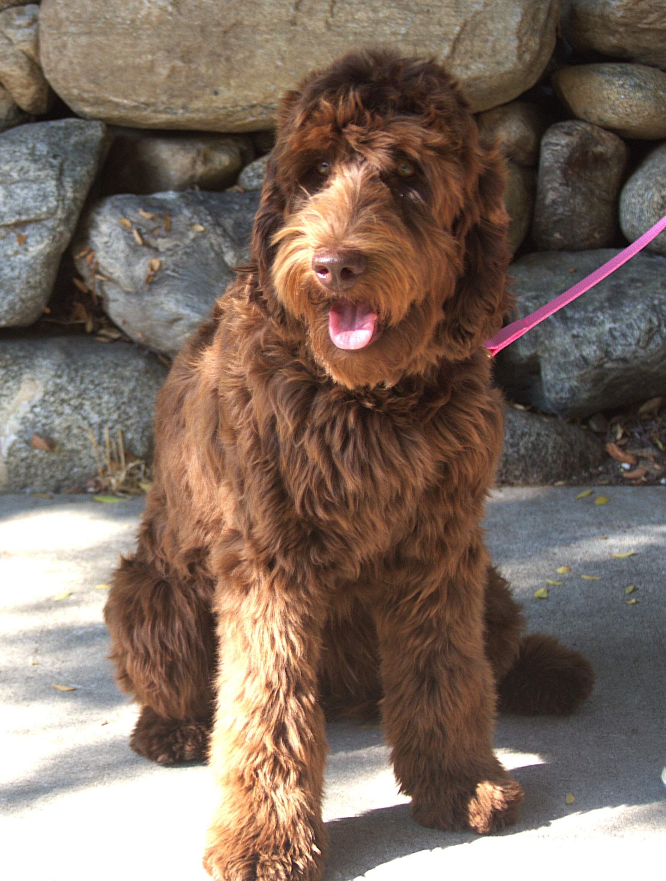 IMG_9053  Athena sit 2.jpg
