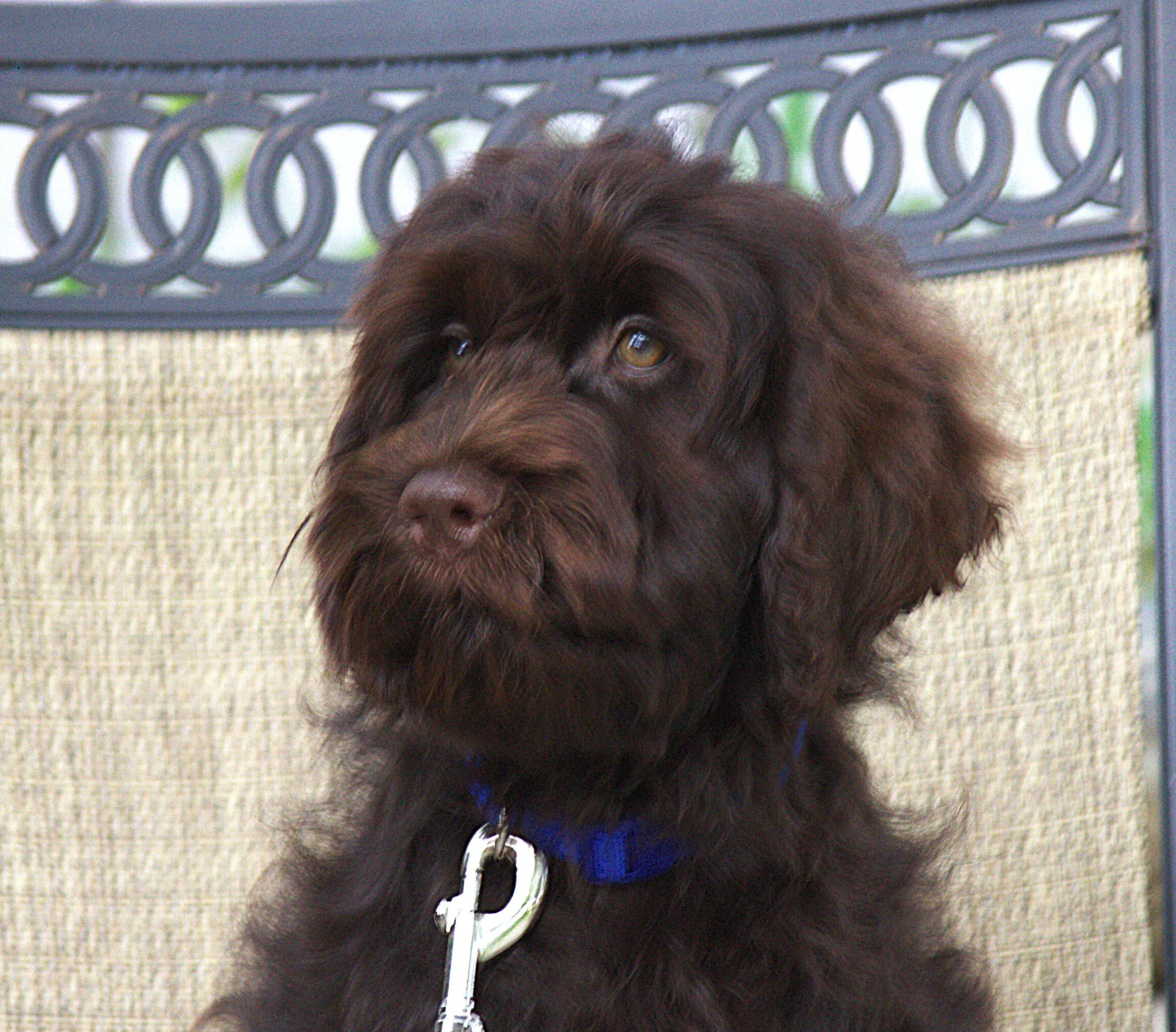 IMG_0237 - Copy Thor side4.jpg