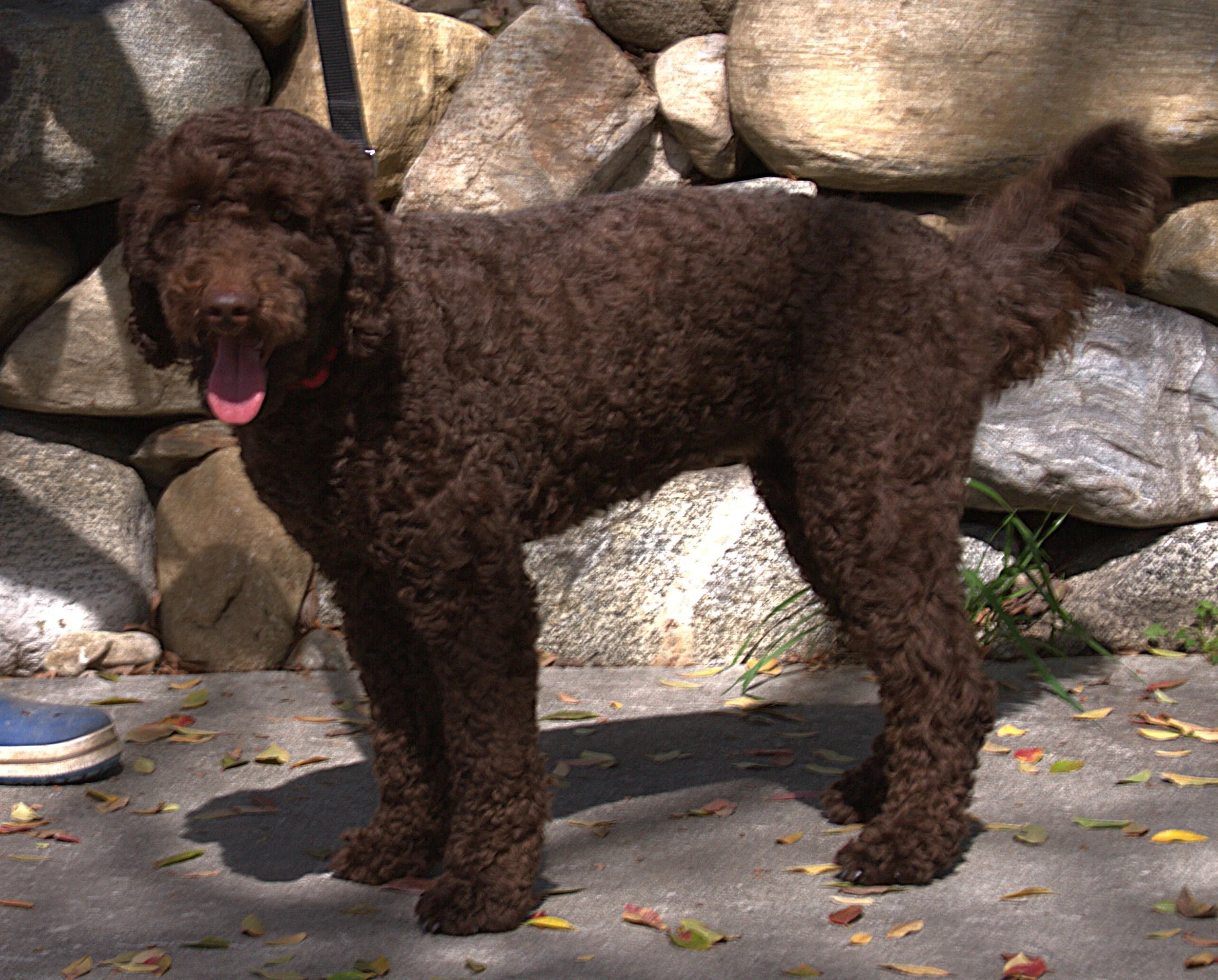 IMG_0040 Faith  Stabd 4.jpg