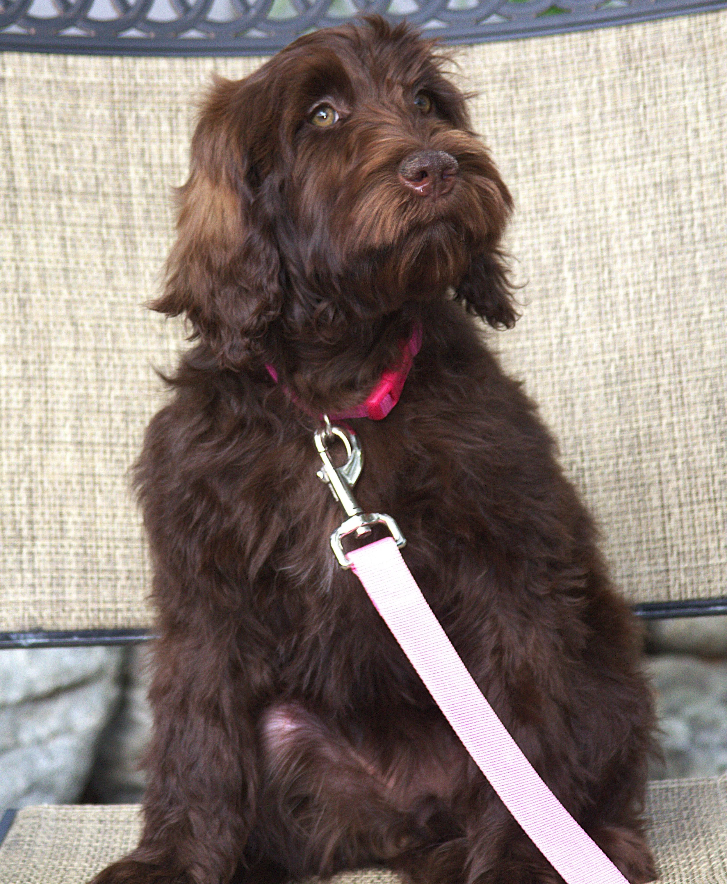 IMG_0167  Demi Moore 3 sit.jpg