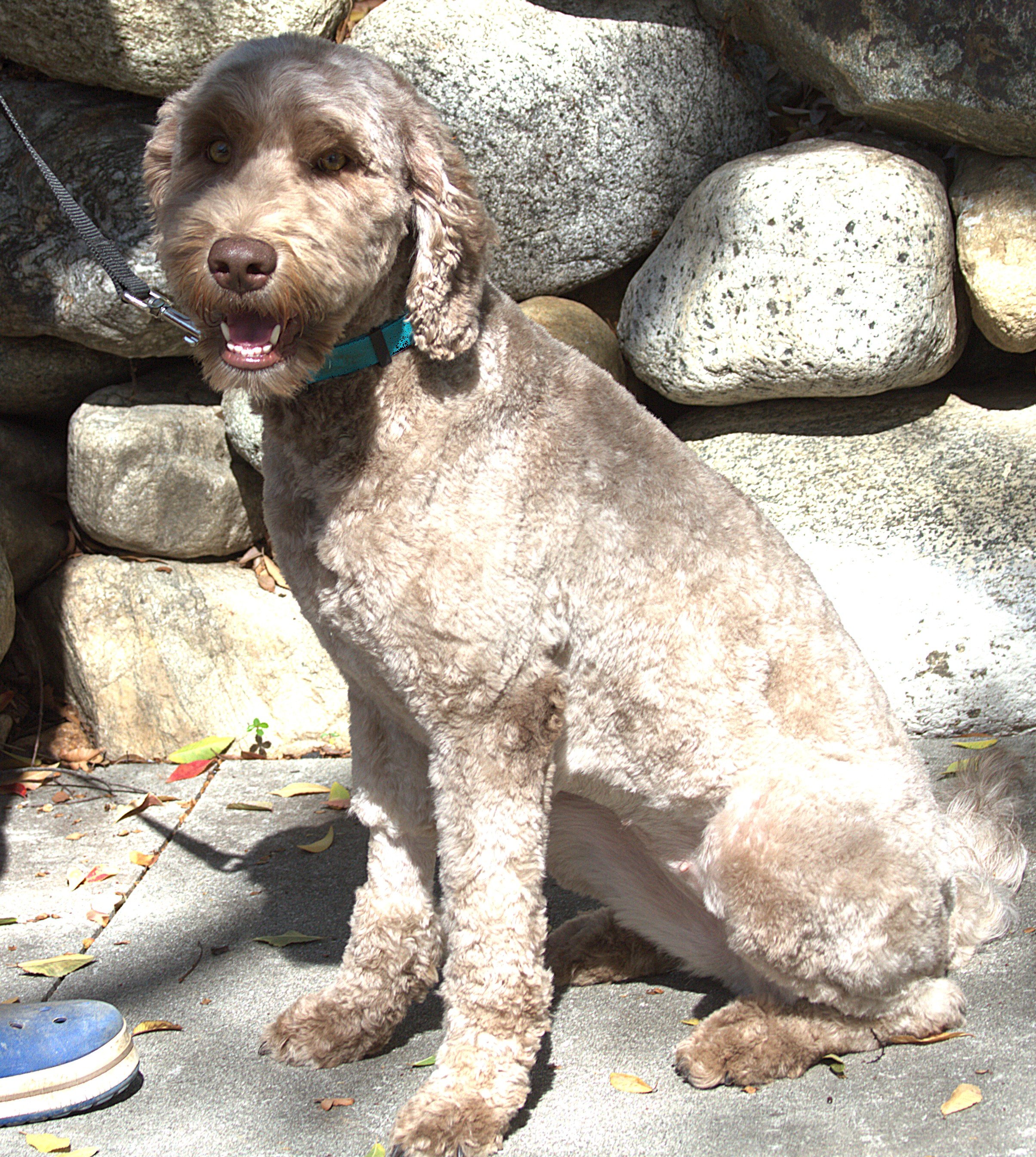 IMG_9940 Houston  Sit 7.jpg