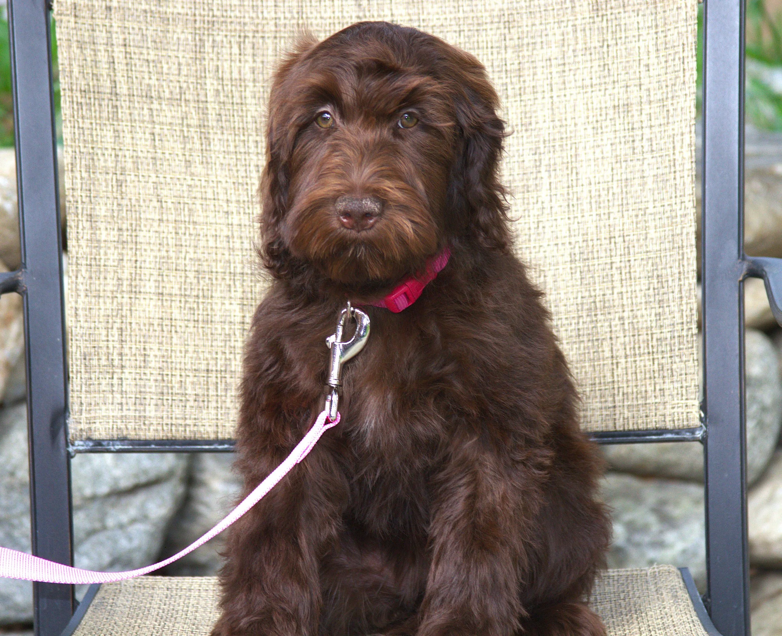 IMG_0161 Demi Moore6 sit.jpg