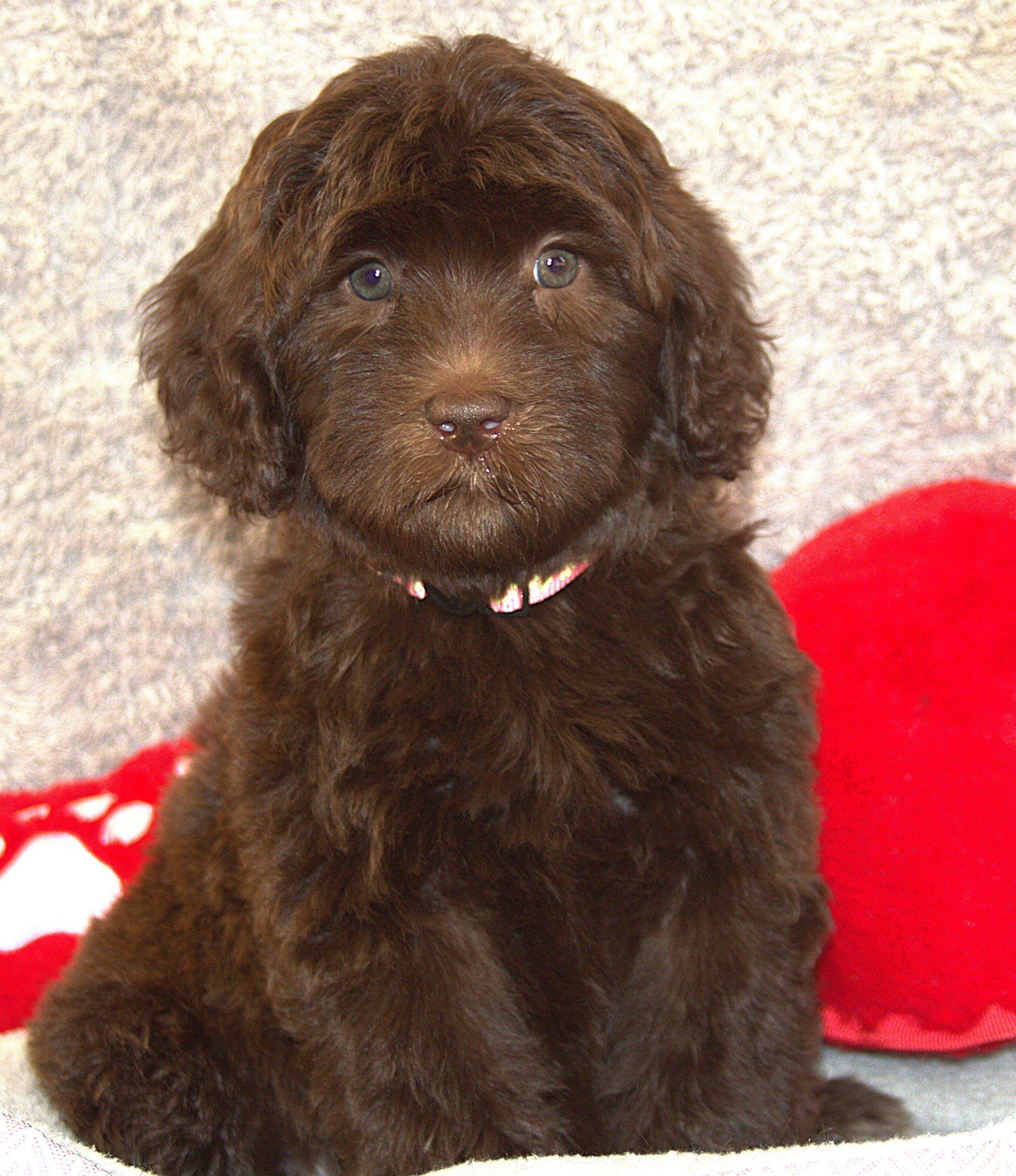 IMG_9796 Angelina sit3.jpg