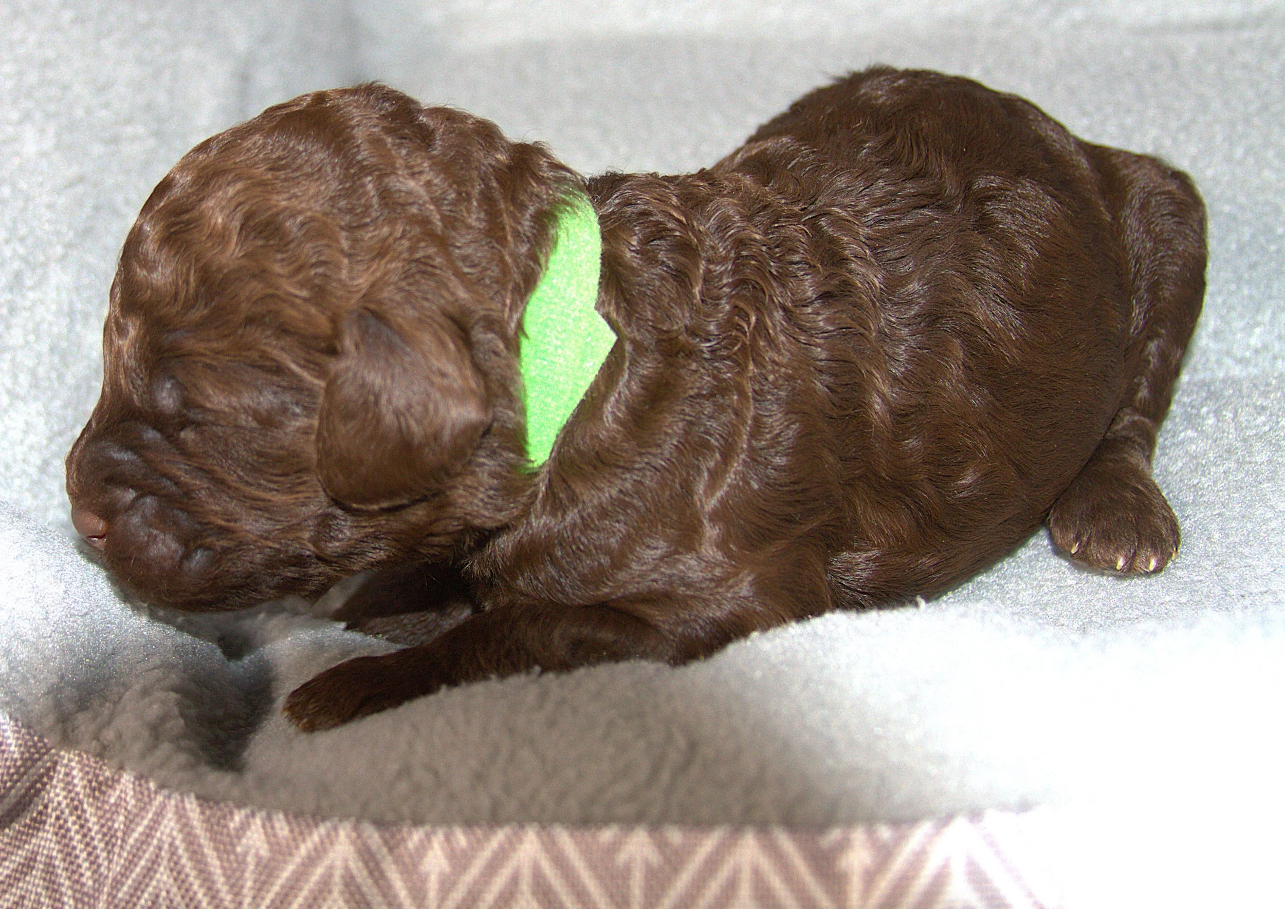 IMG_9220 C 587 Ebba.jpg