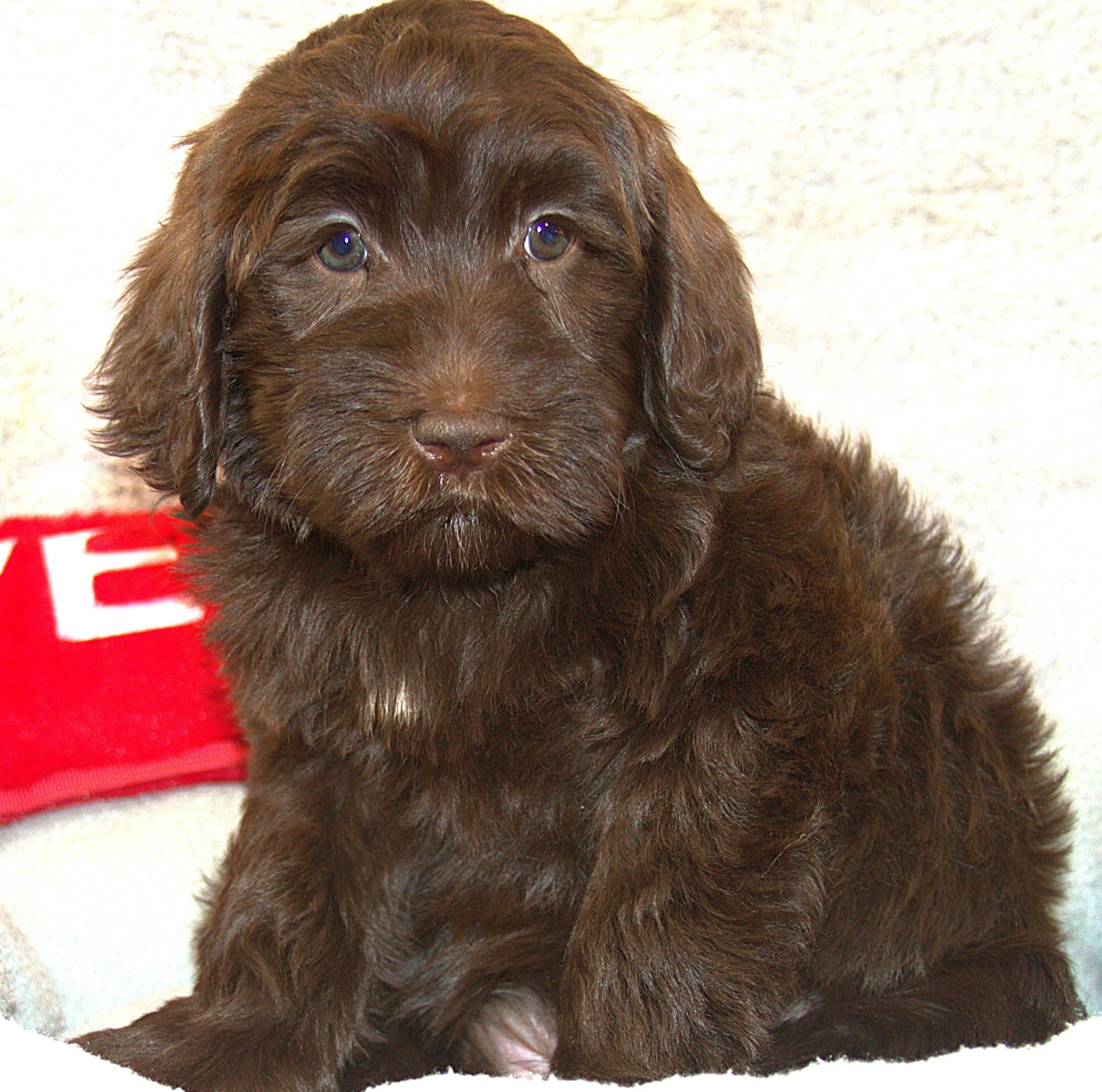 IMG_9751  Demmi Moore  sit 5.jpg