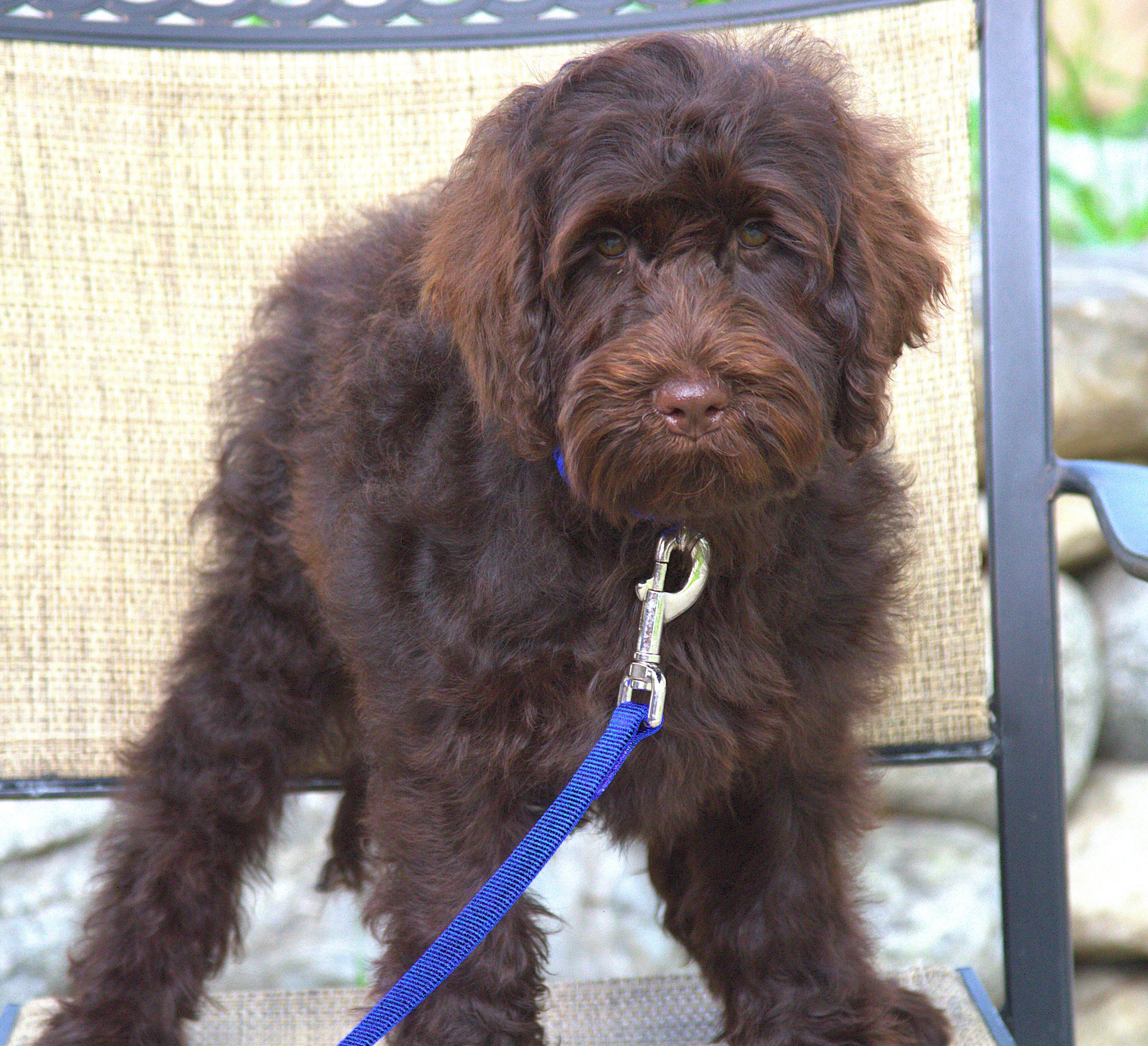 IMG_0233  Thor stand 7.jpg