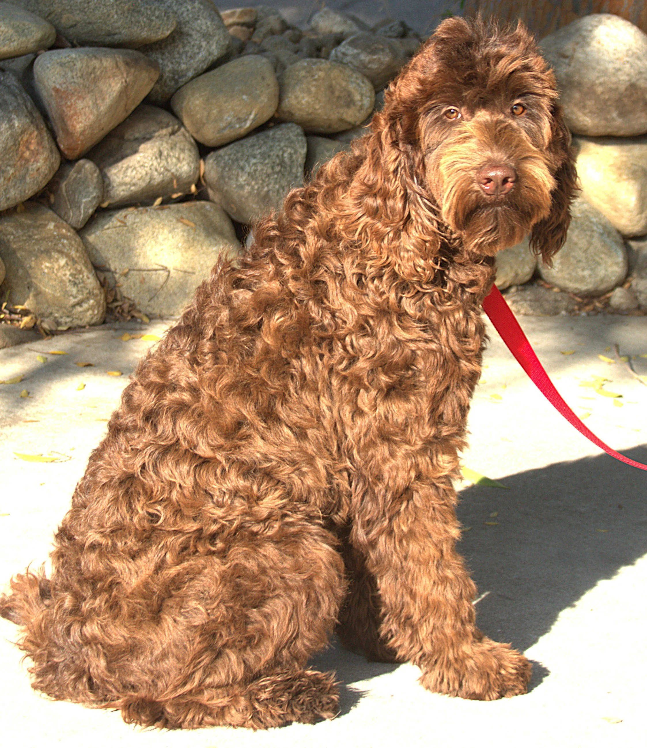 IMG_9123  Nyla sit 3.jpg