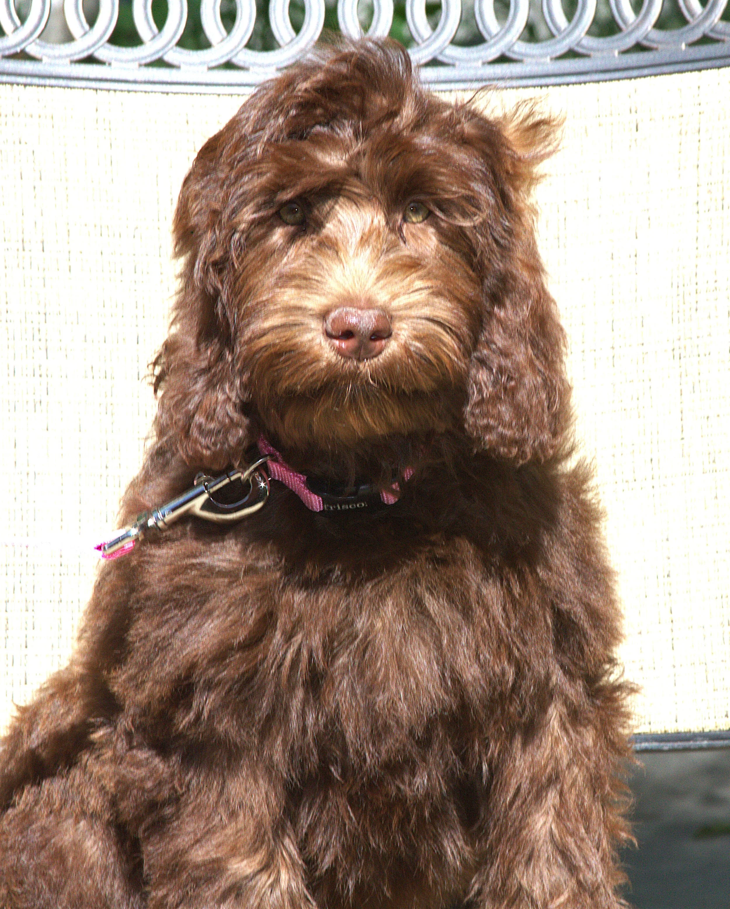 IMG_0096  Angelina 5.jpg