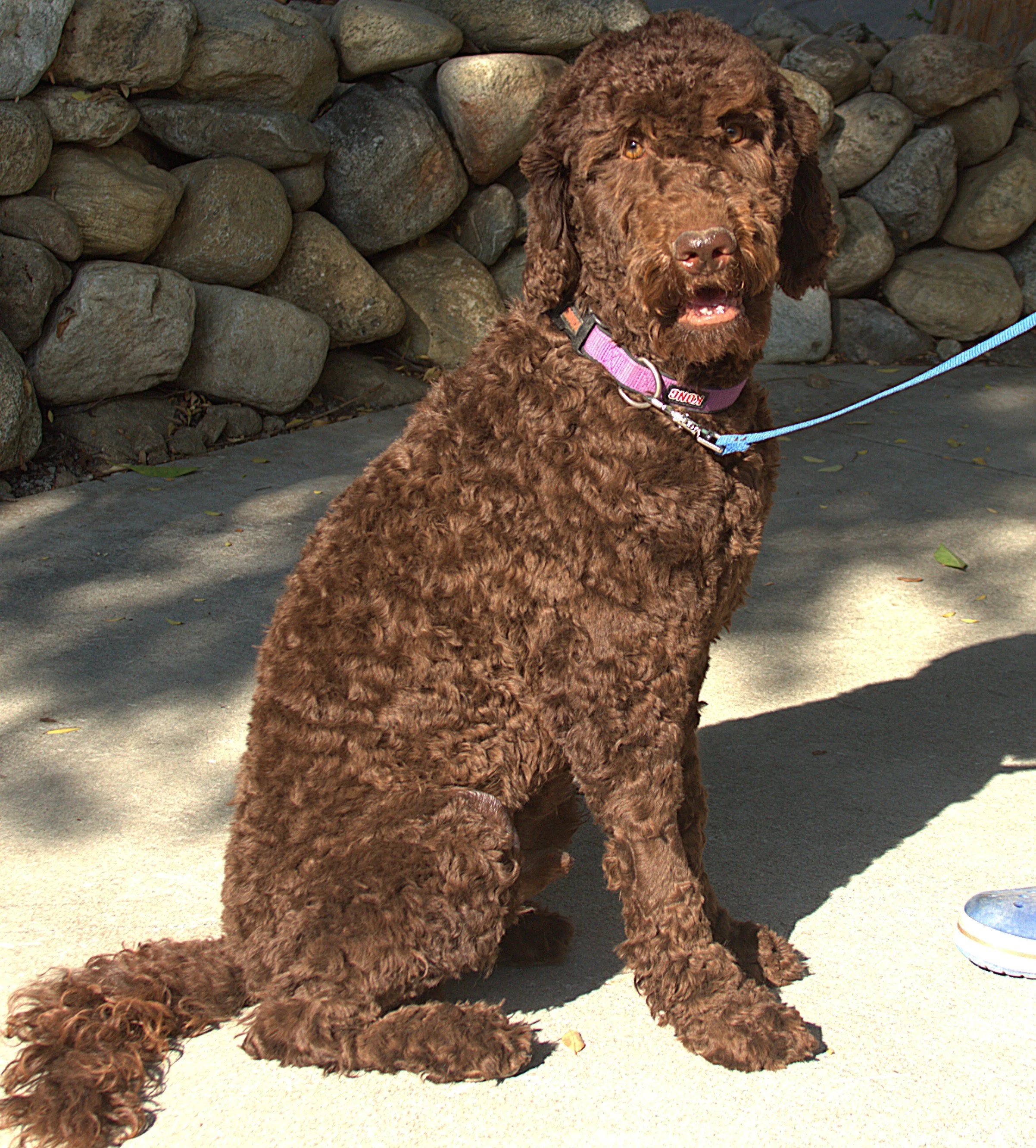 IMG_9087 Mickey Sit 2.jpg