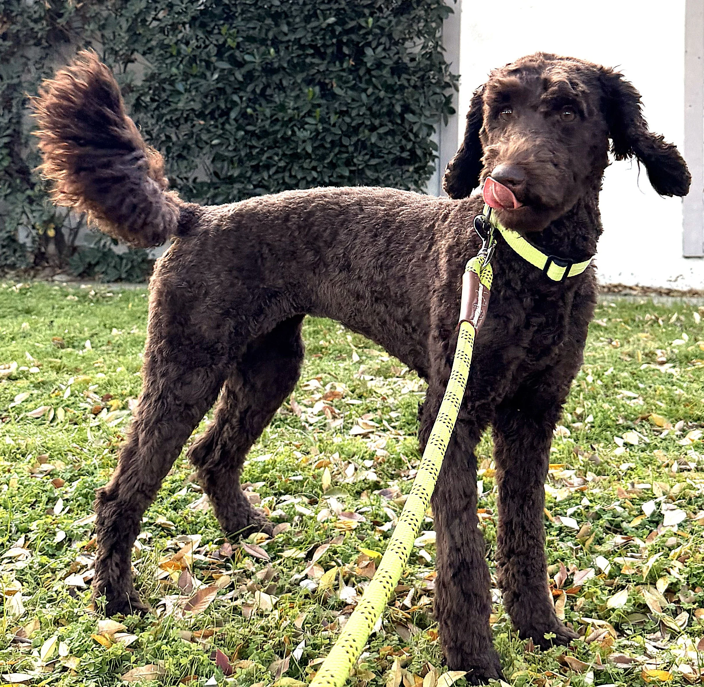 IMG_0804  Faith 6A.jpg