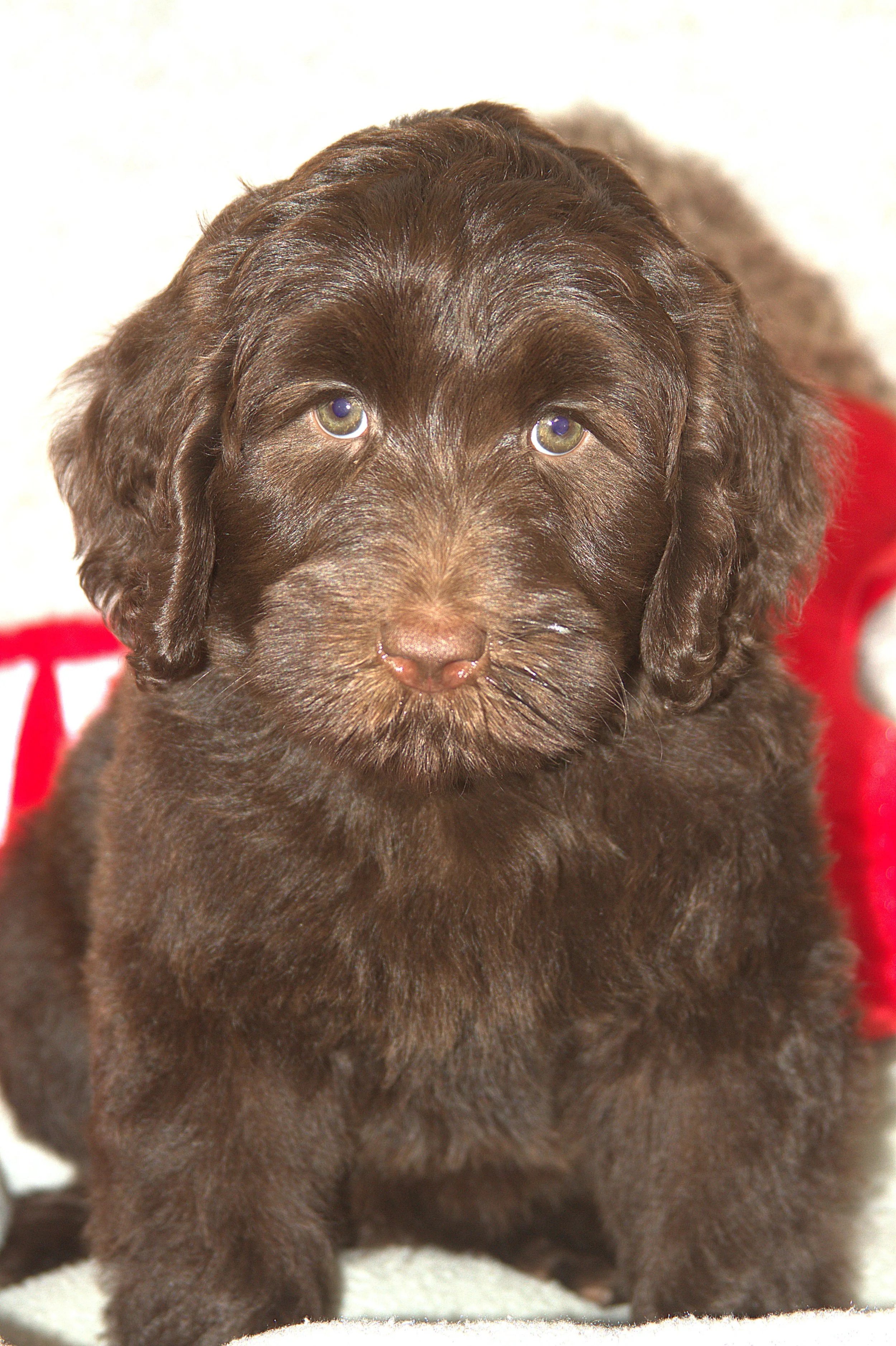 IMG_9720 Arrow sit 5.jpg