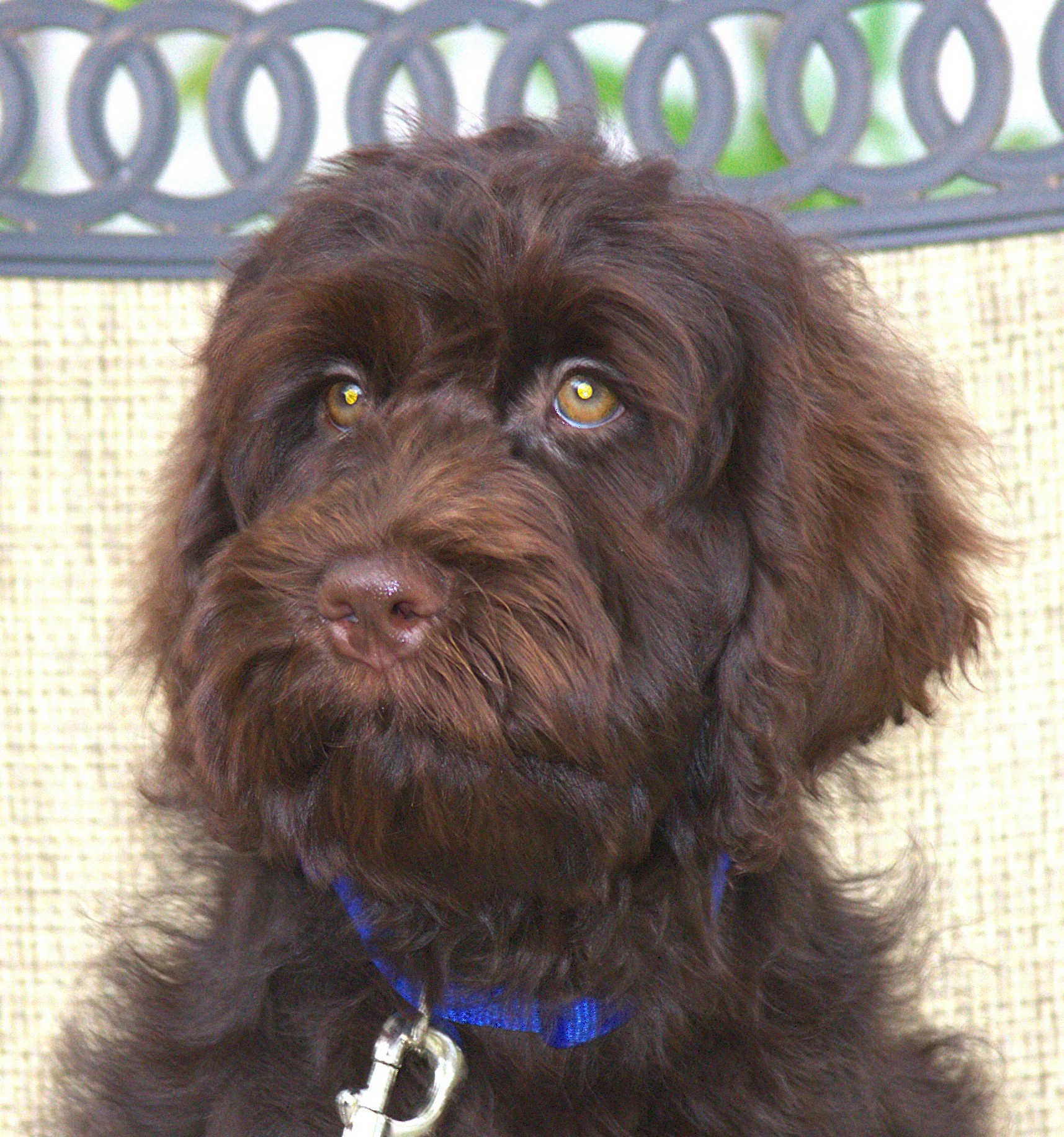 IMG_0240 Thor HS 6.jpg