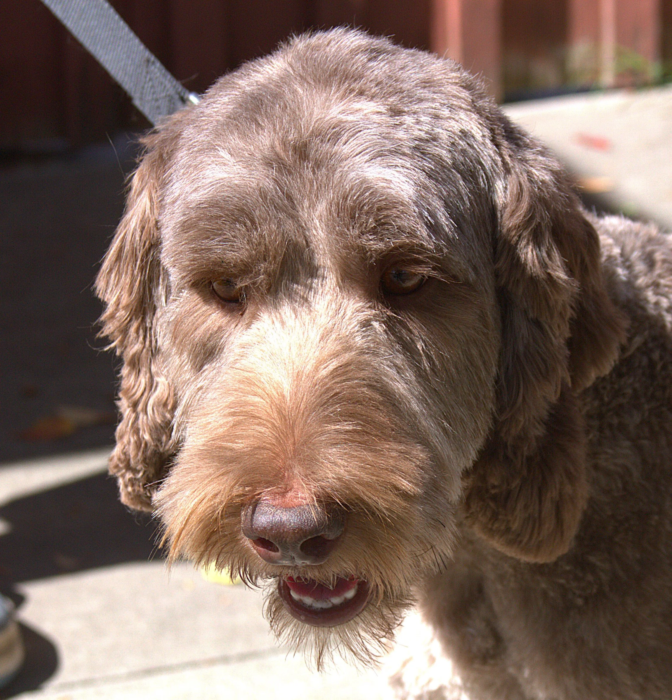 IMG_9962 Emma HS 2 - Copy.jpg