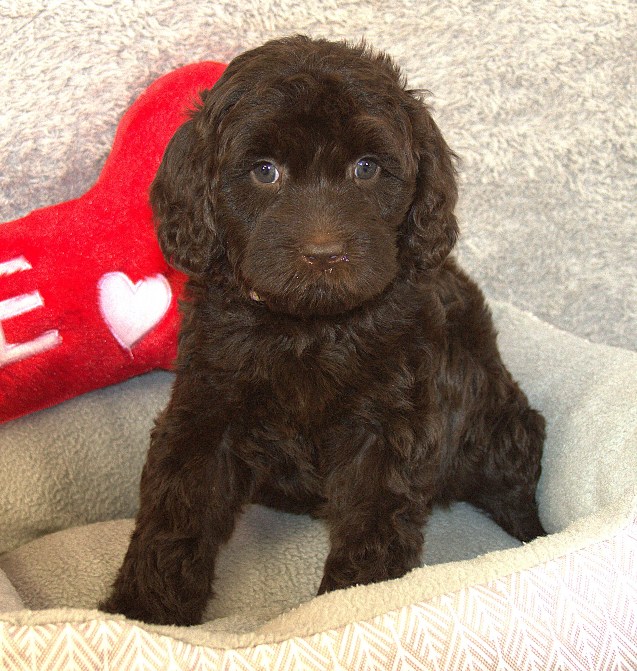 IMG_9861 Sofia sit 1.jpg