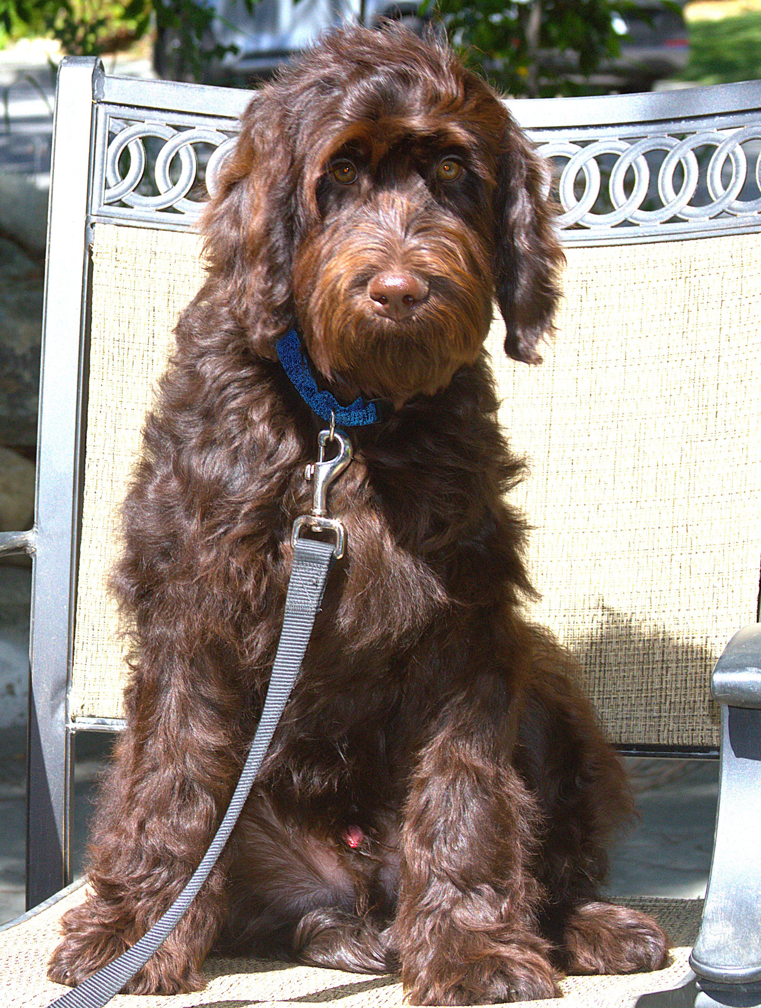 IMG_0294  Thor 2.jpg