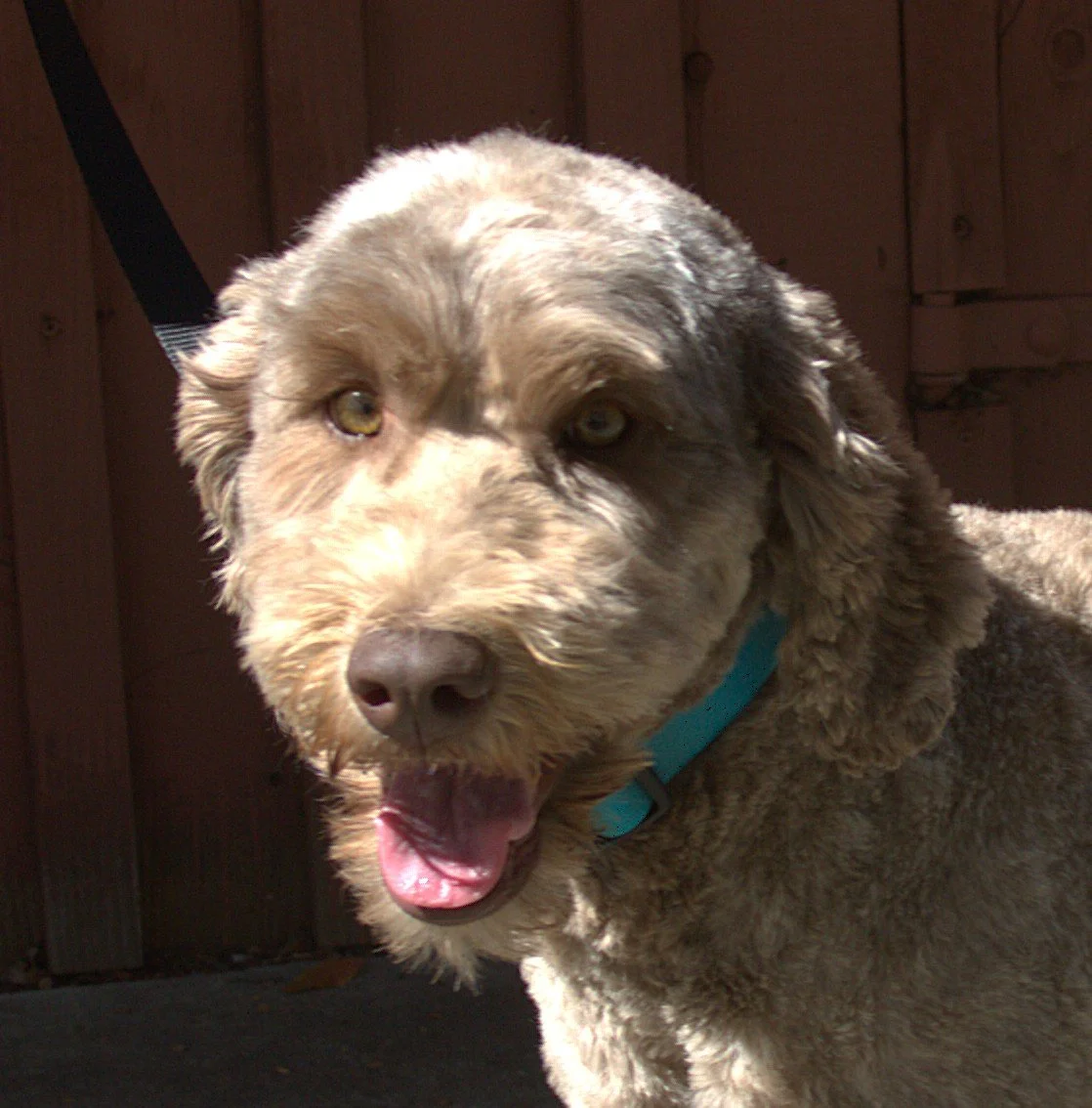 IMG_9947 Houston HS 4.jpg