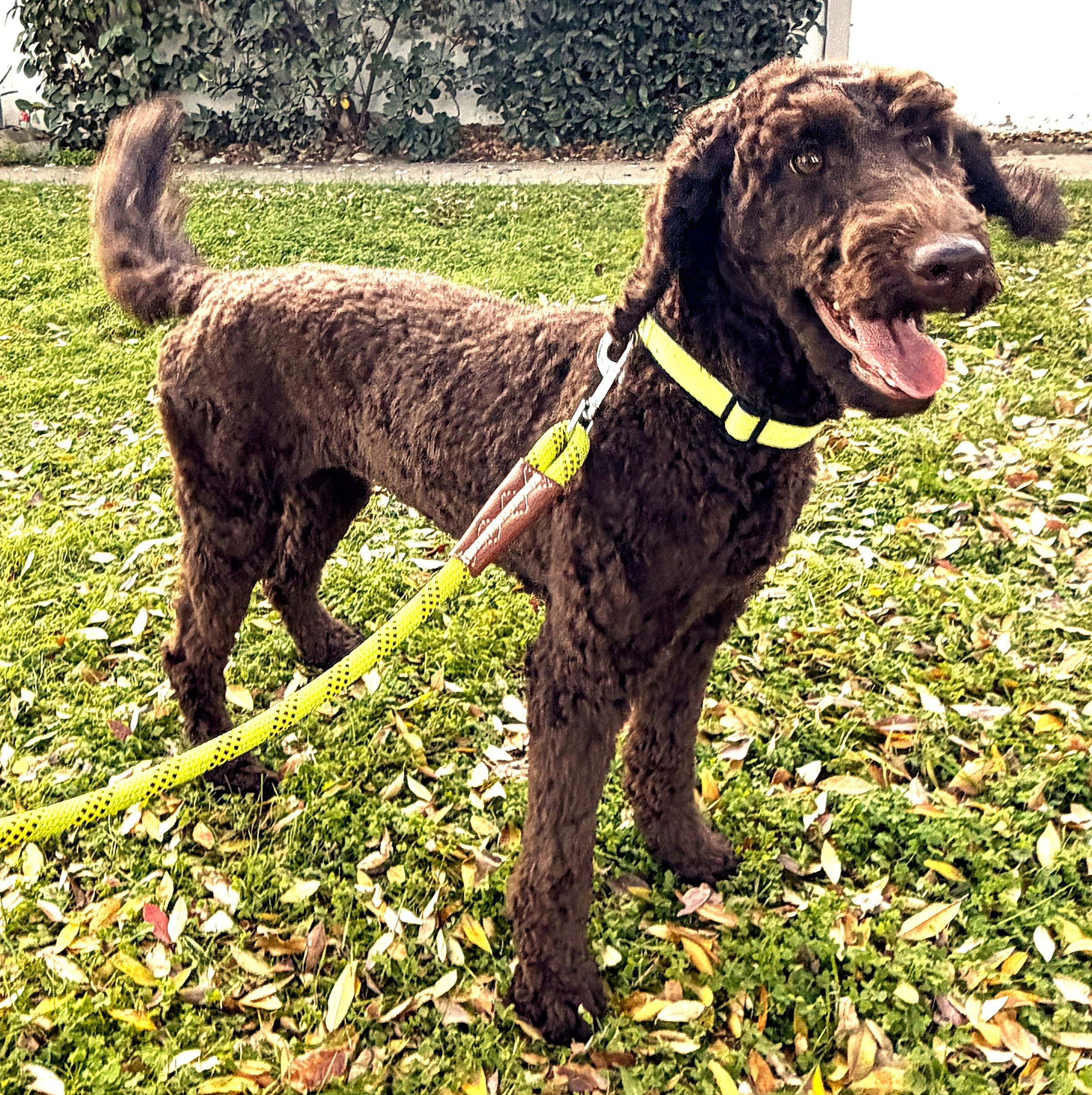 IMG_0798 Faith stand 4A.jpg