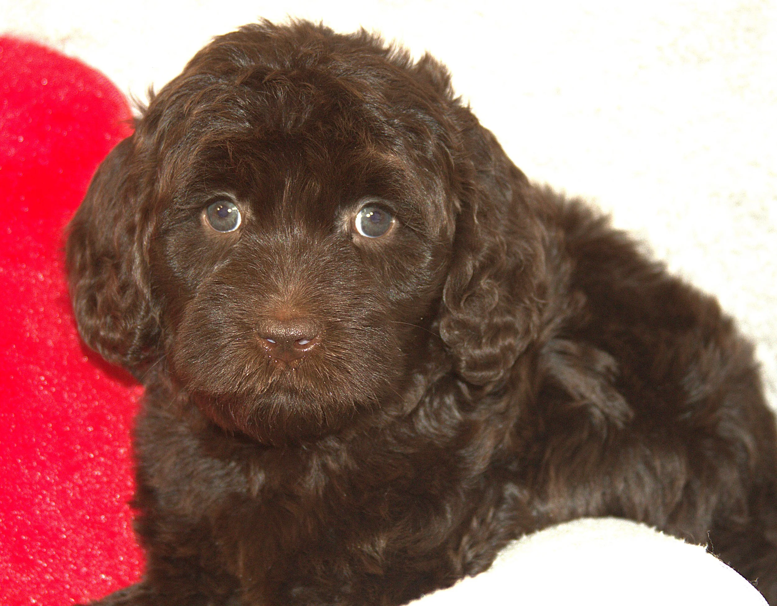 IMG_9887 Sofia lay 4.jpg