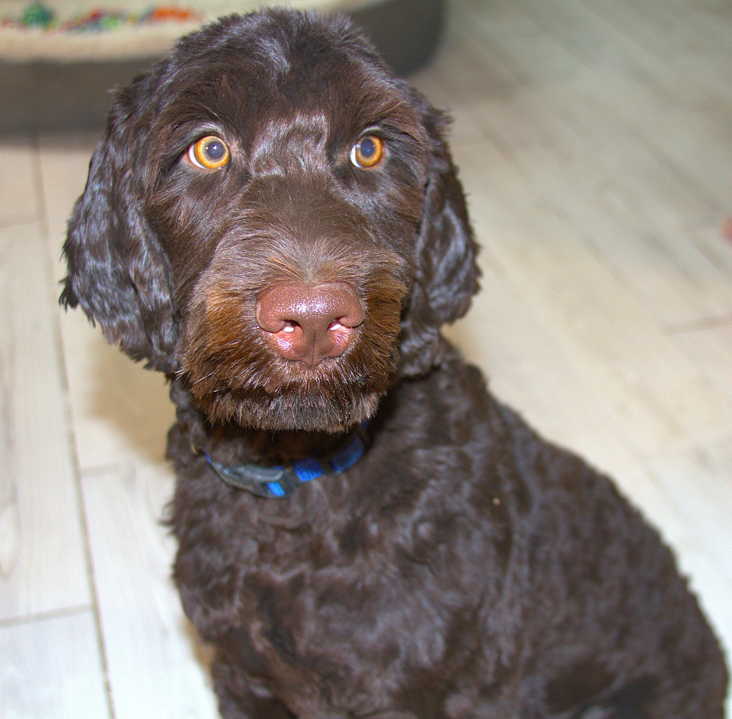 IMG_0583 Thor Sit 7.jpg