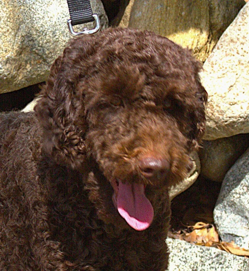 IMG_0050 Faith  HS.jpg